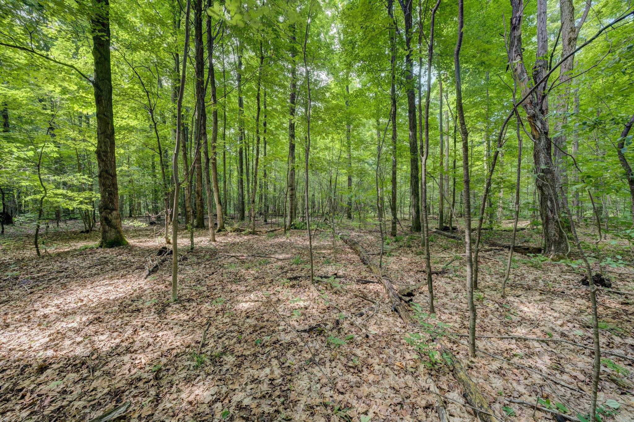 223 Pinecrest Lane Property Photo 46