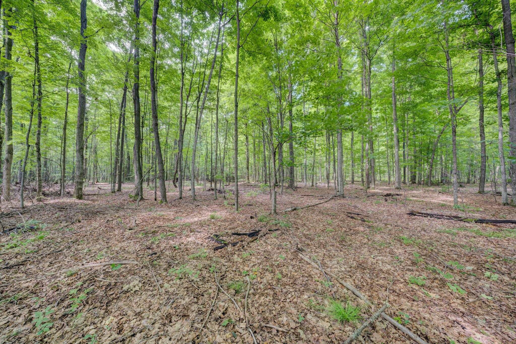223 Pinecrest Lane Property Photo 47