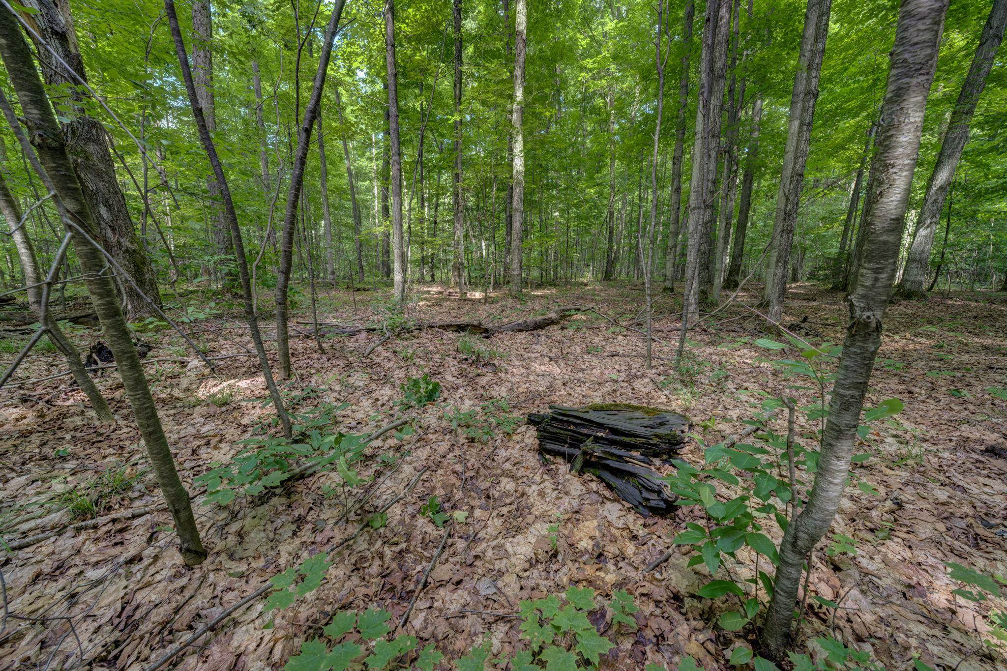 223 Pinecrest Lane Property Photo 49