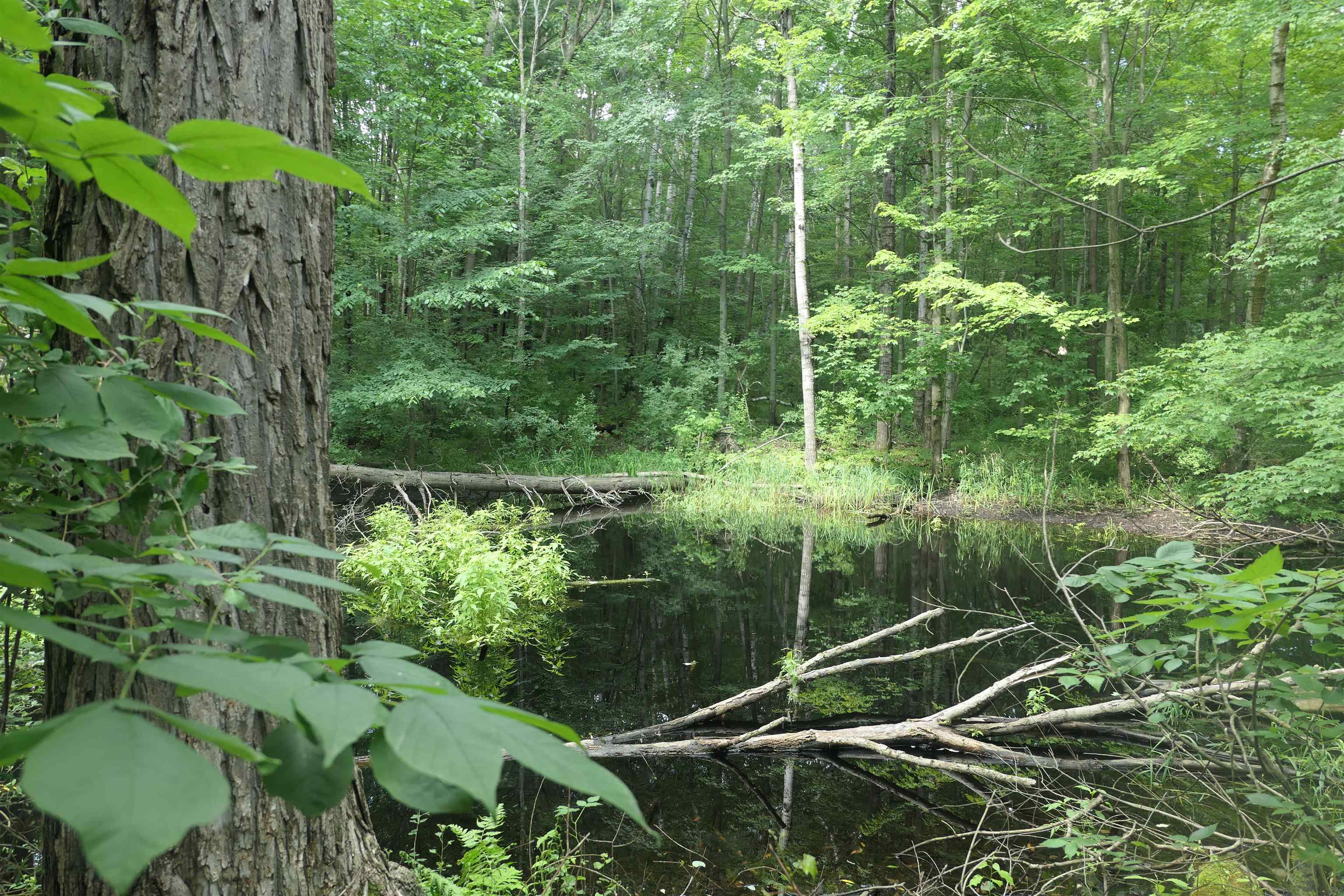 4769 Feather Trail Property Photo 49