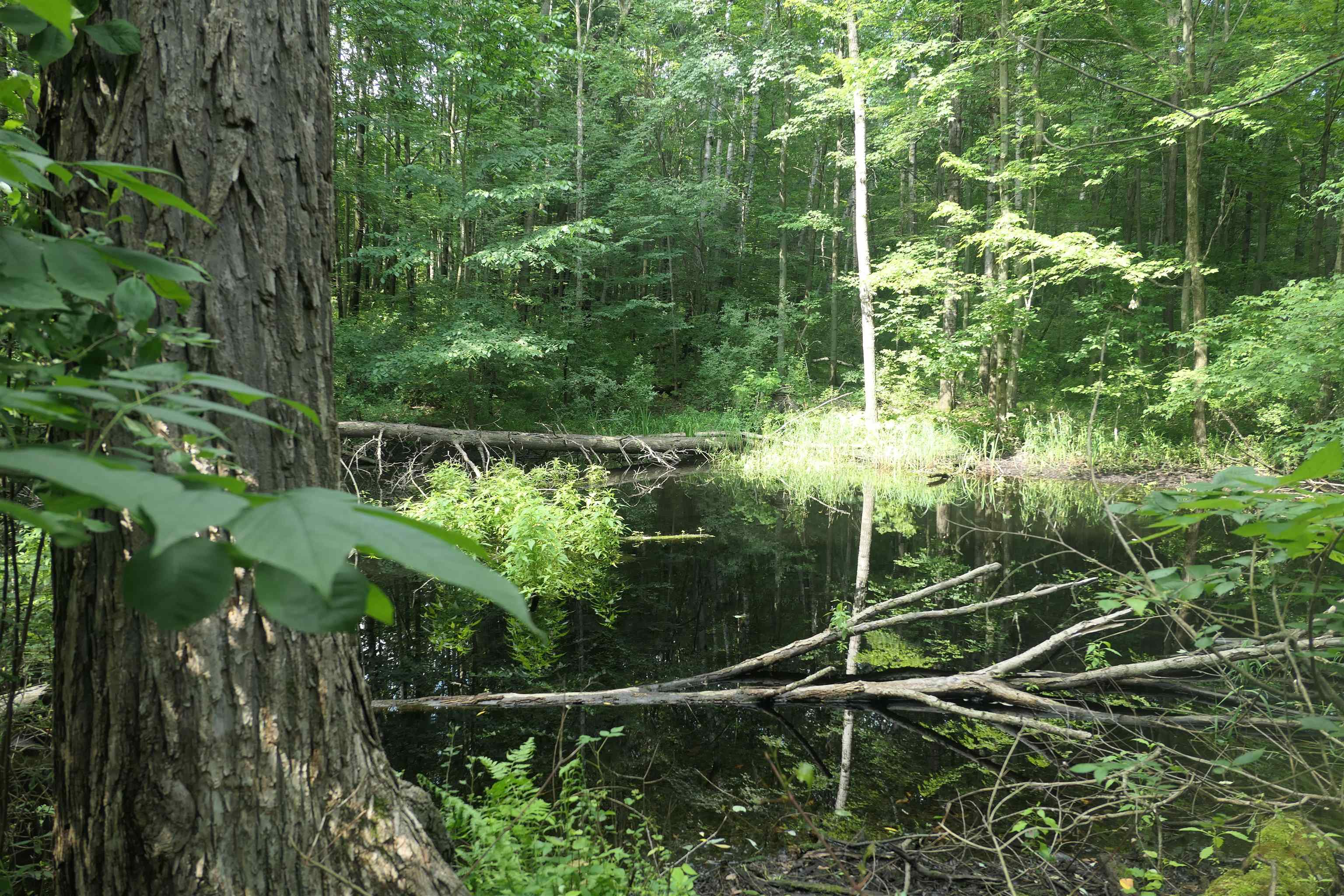 4769 Feather Trail Property Photo 50