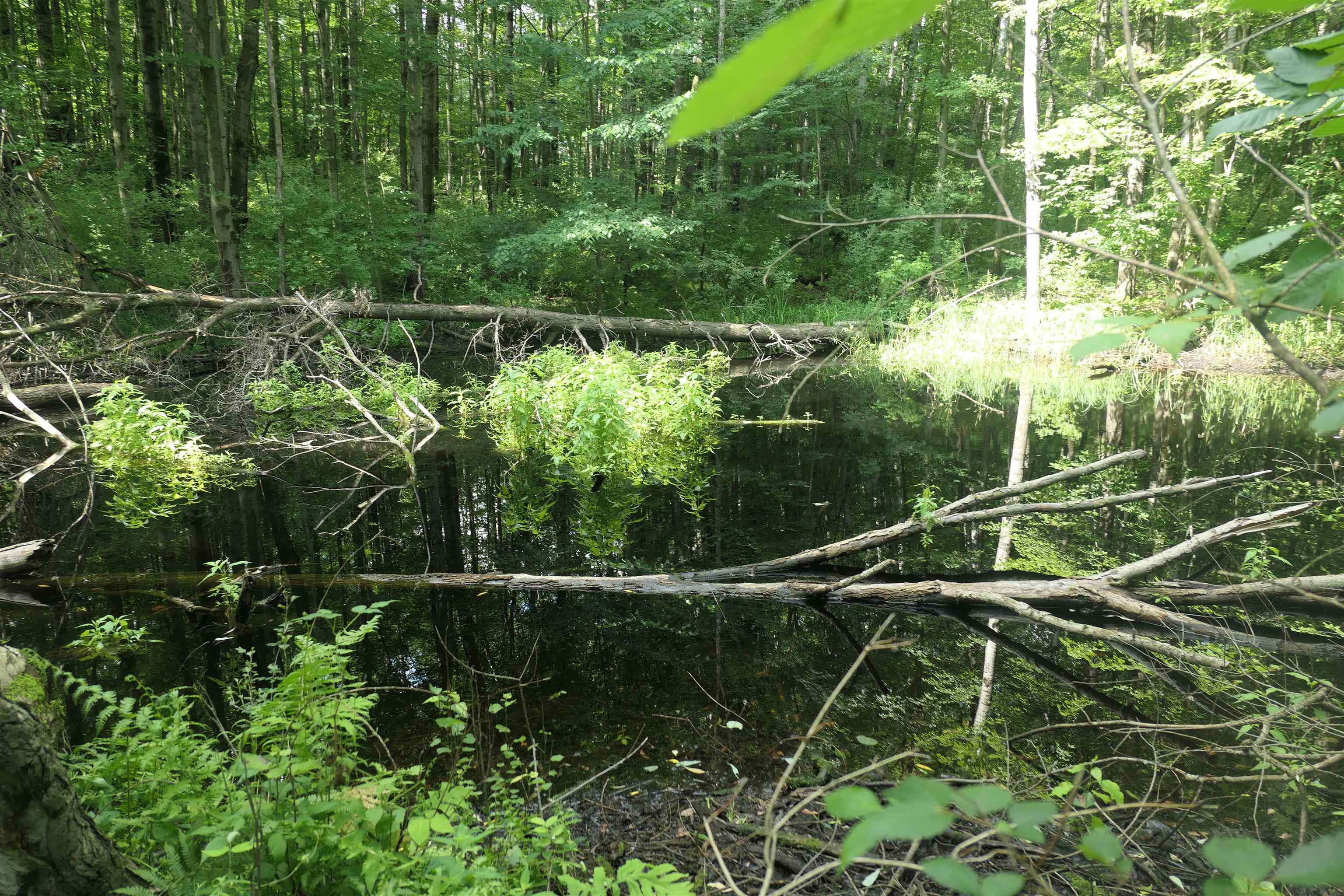 4769 Feather Trail Property Photo 51