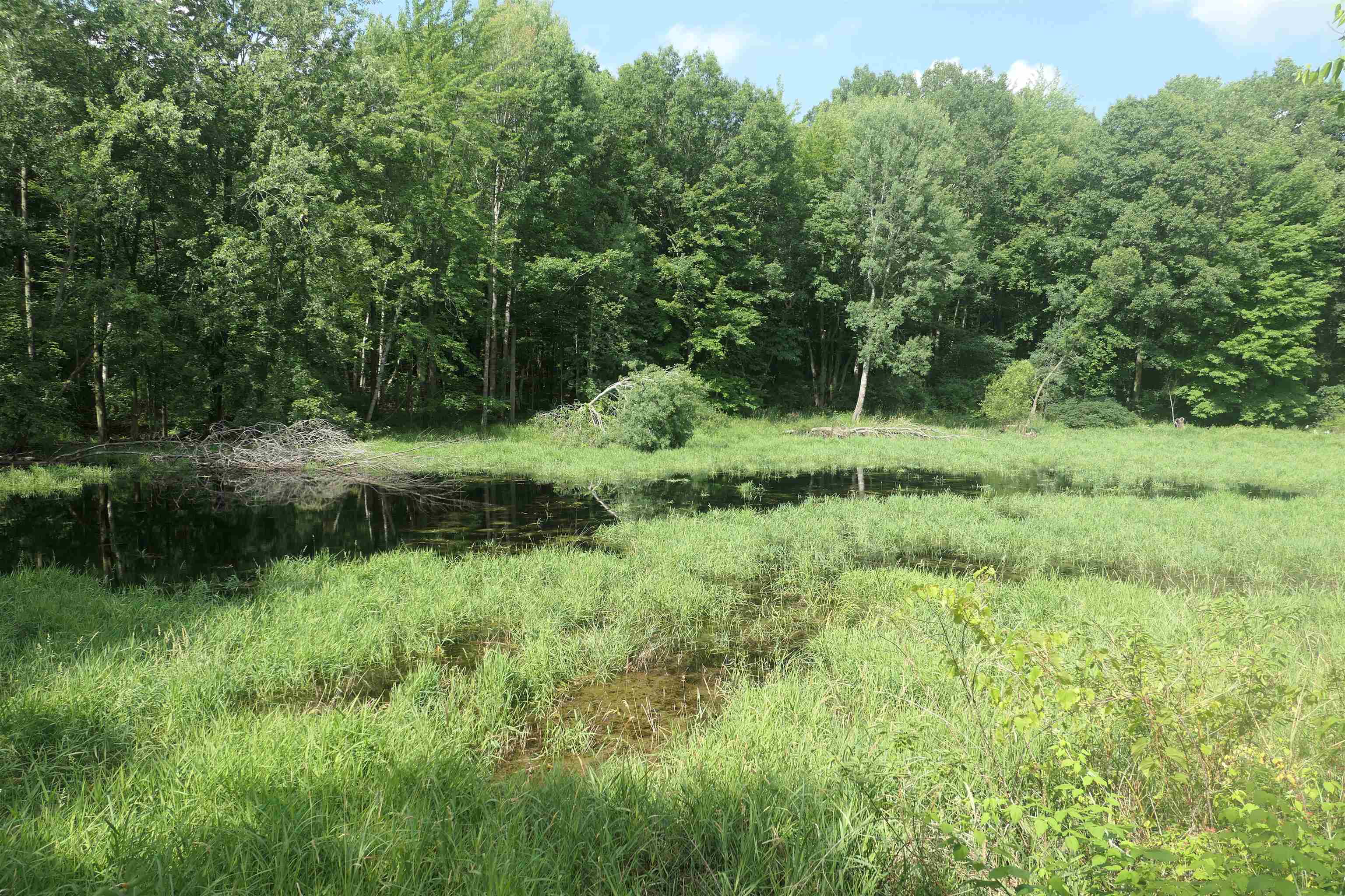 4769 Feather Trail Property Photo 52