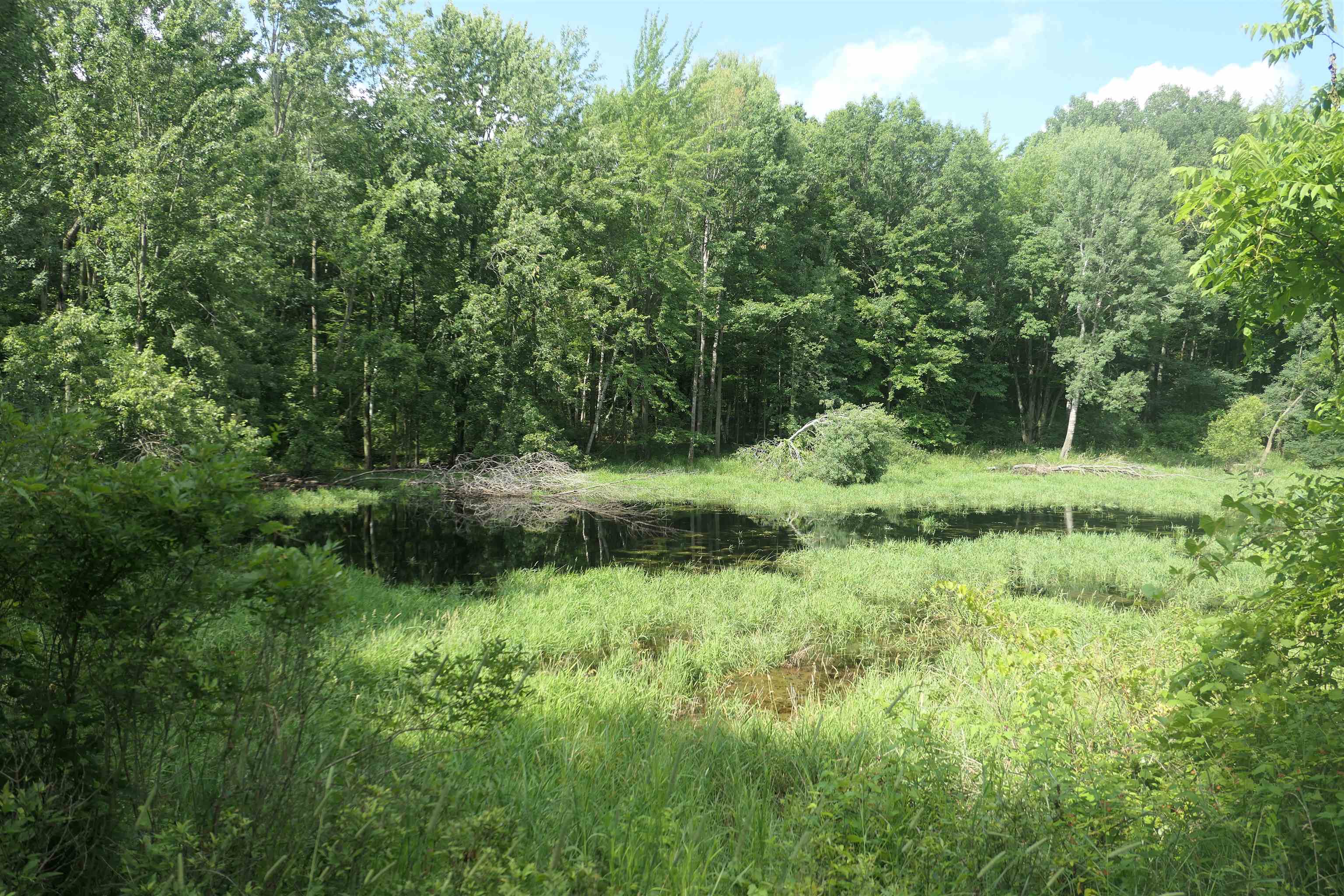 4769 Feather Trail Property Photo 53