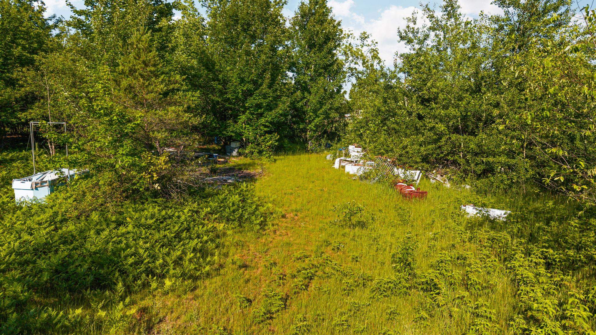 436 Tobias Road Property Photo 13