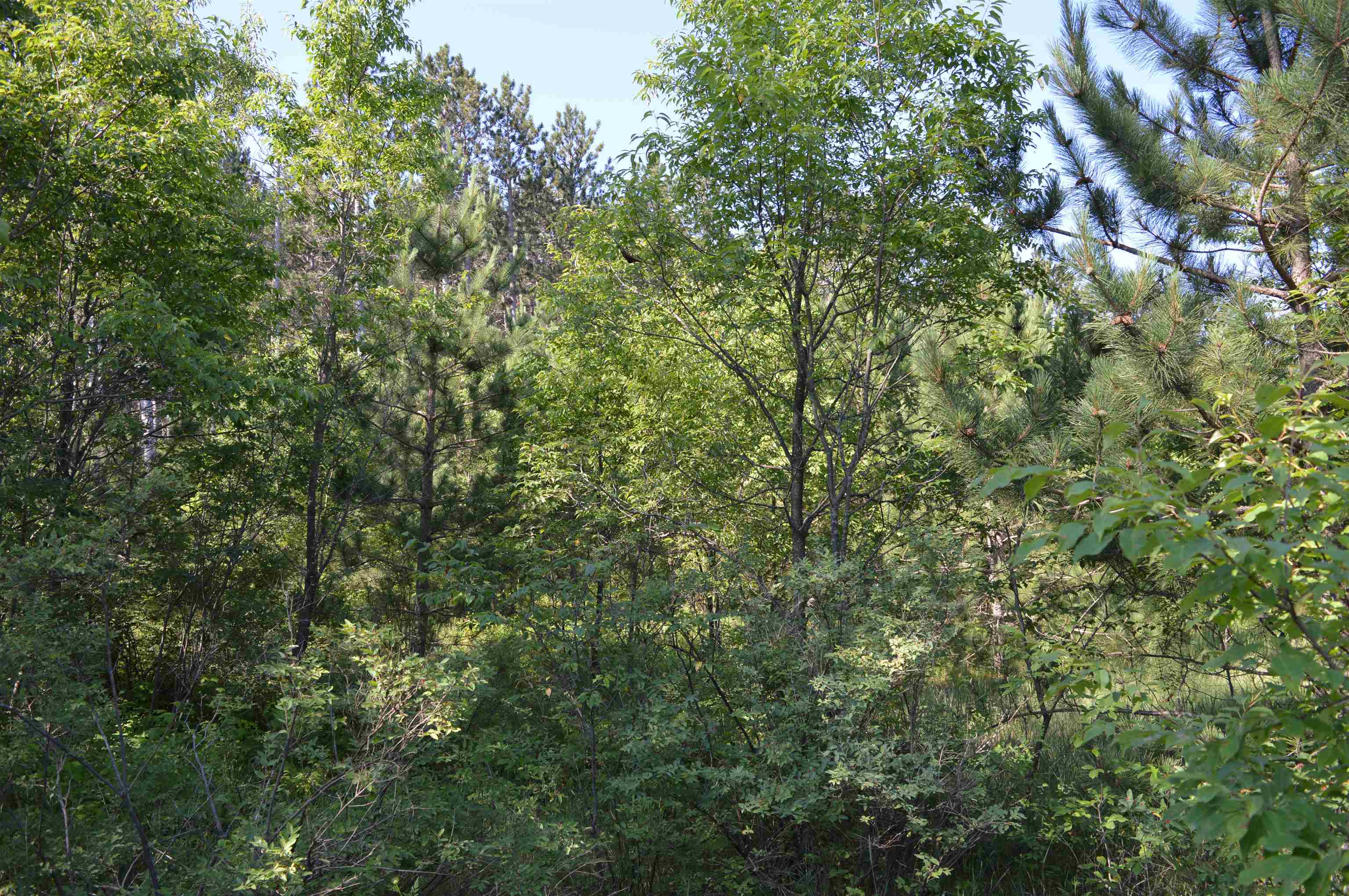 Ne Holly Road Property Photo 9