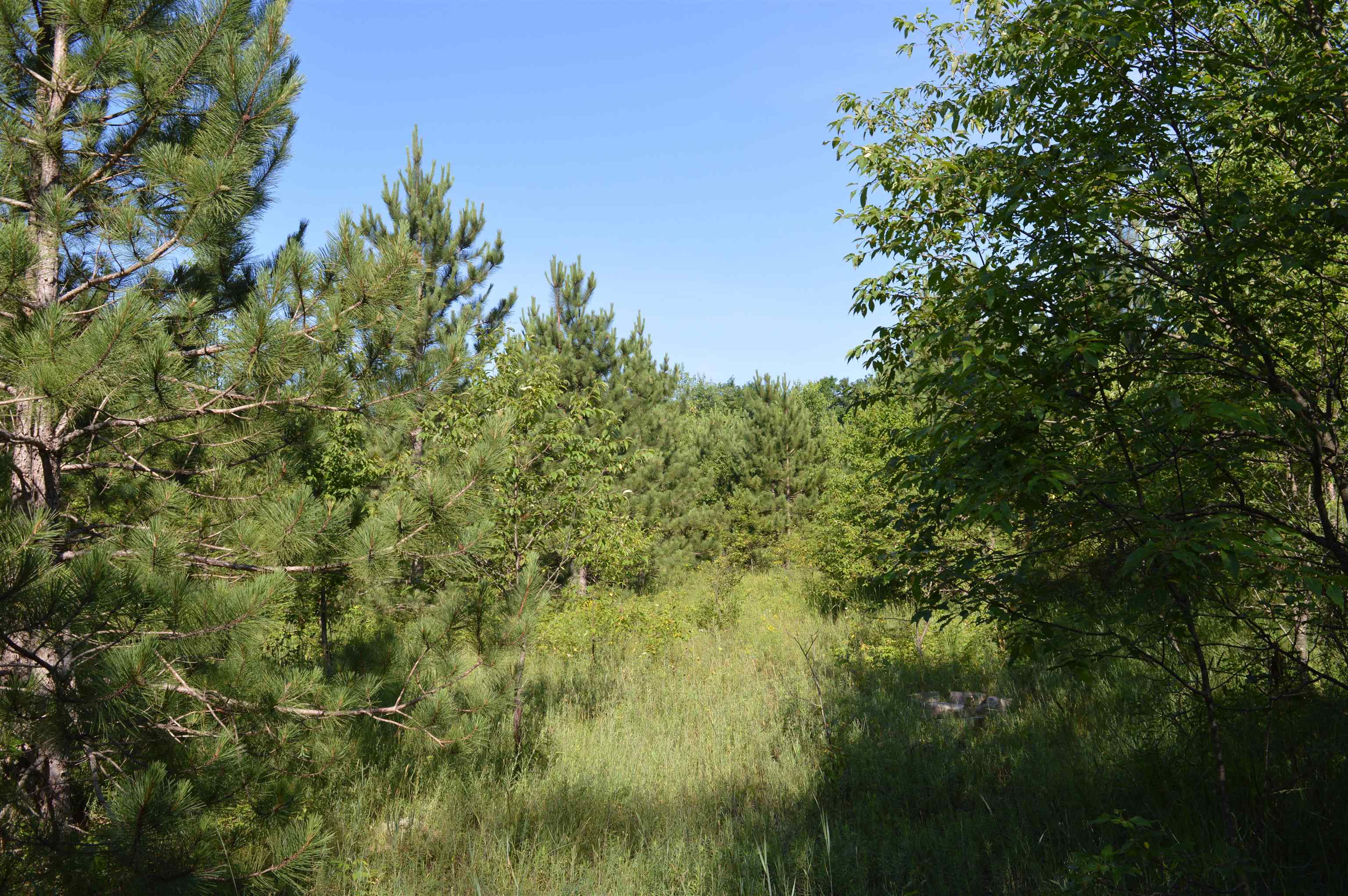 Ne Holly Road Property Photo 10