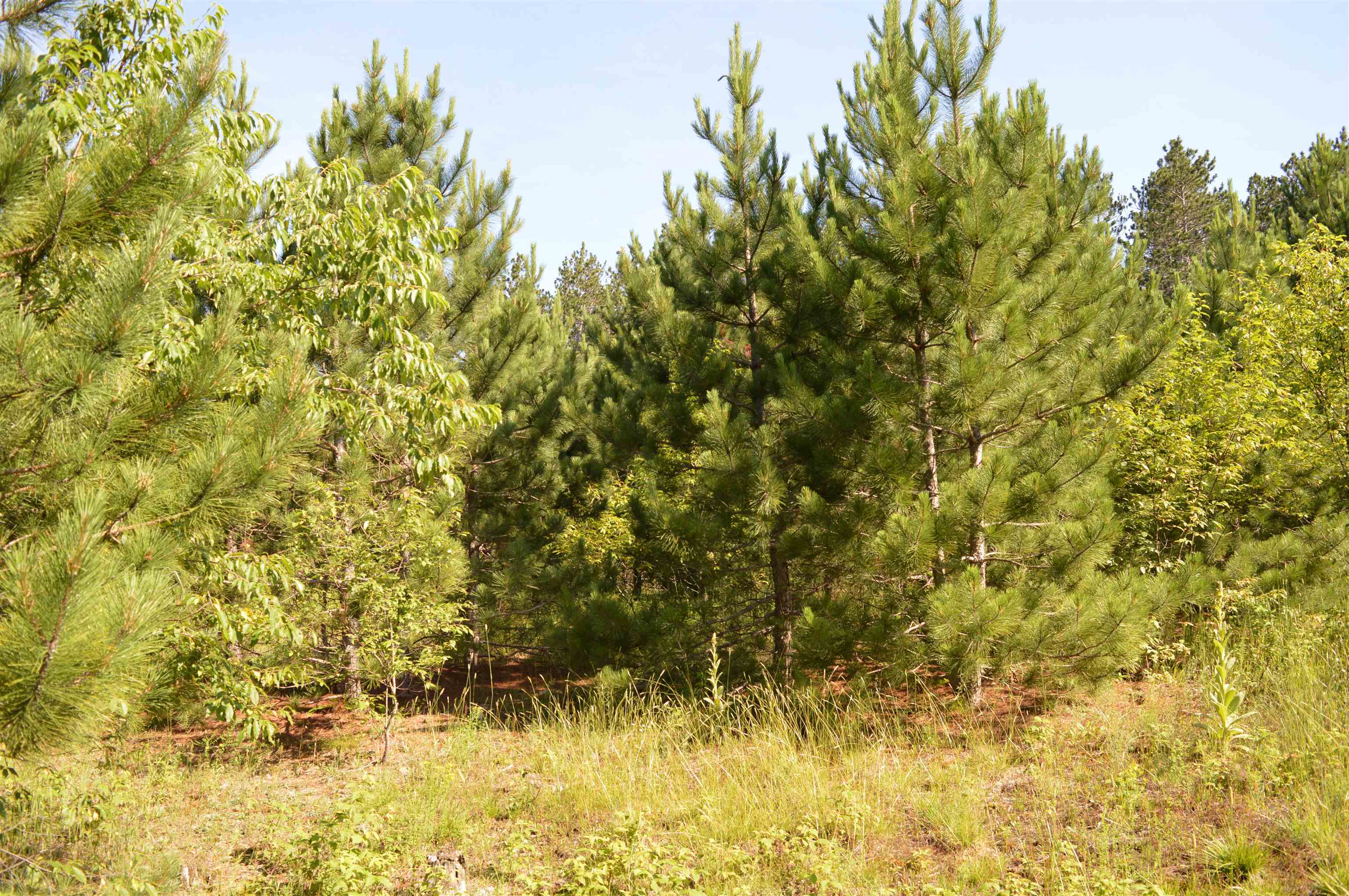 Ne Holly Road Property Photo 18
