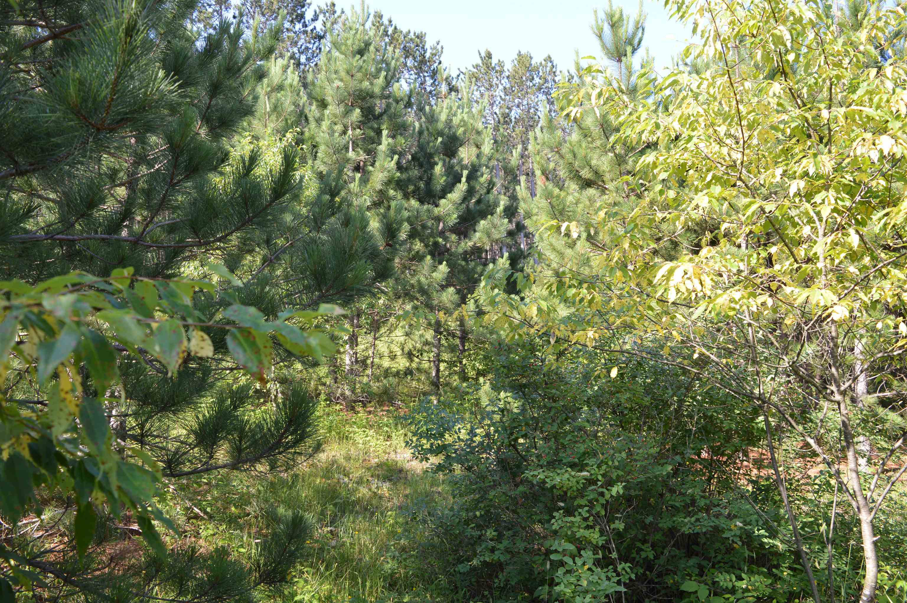 Ne Holly Road Property Photo 20