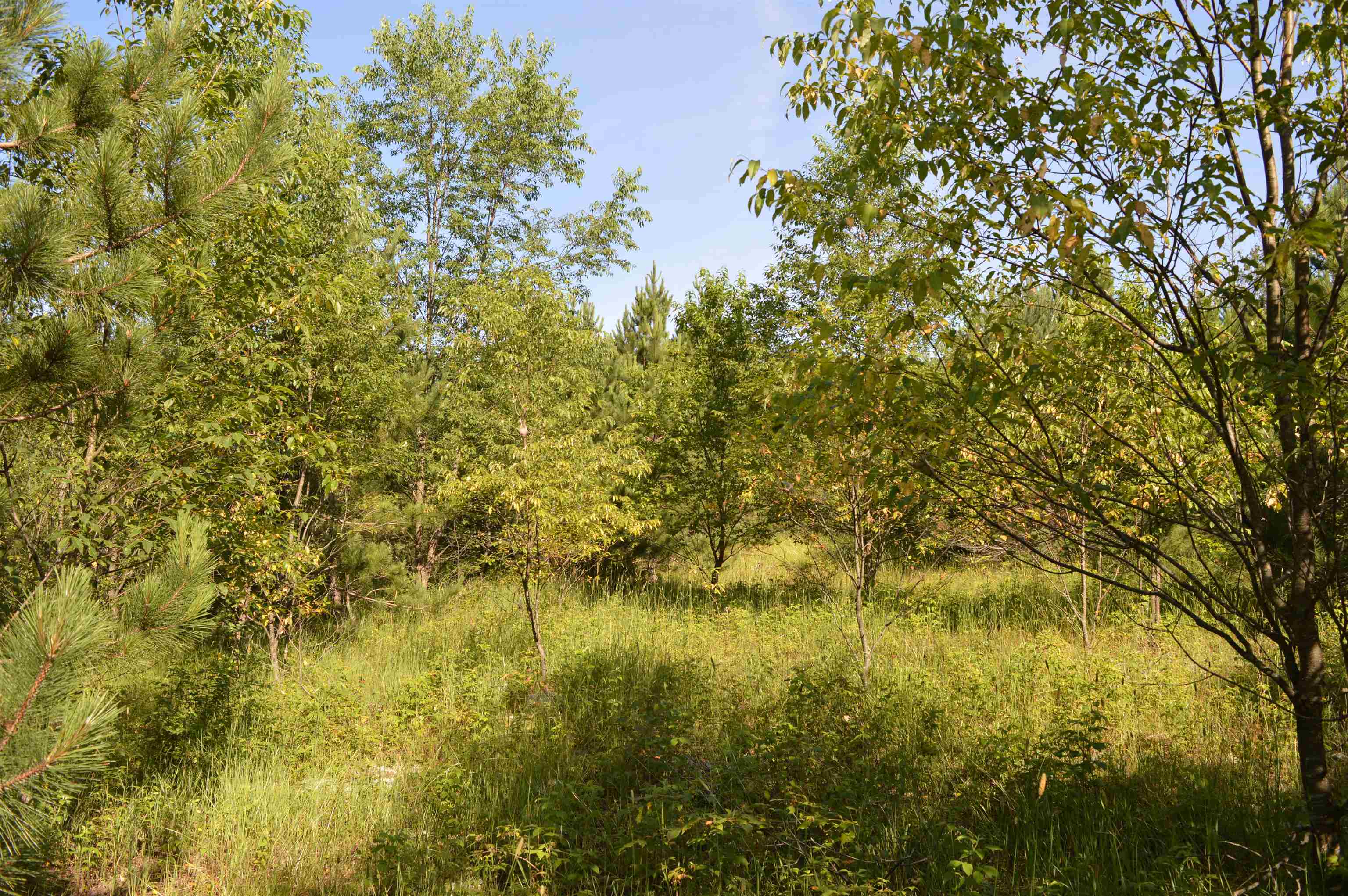 Ne Holly Road Property Photo 21