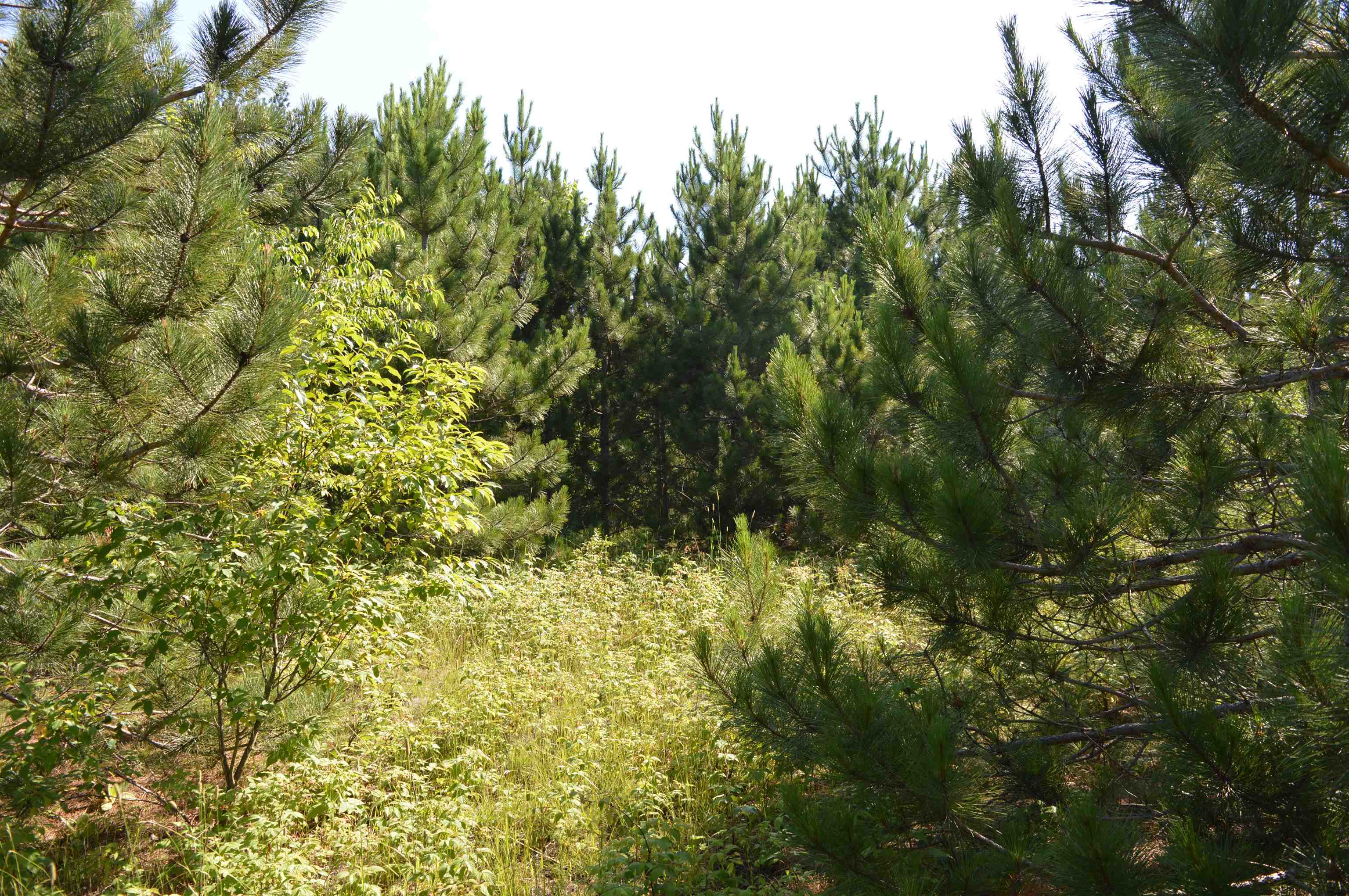 Ne Holly Road Property Photo 25