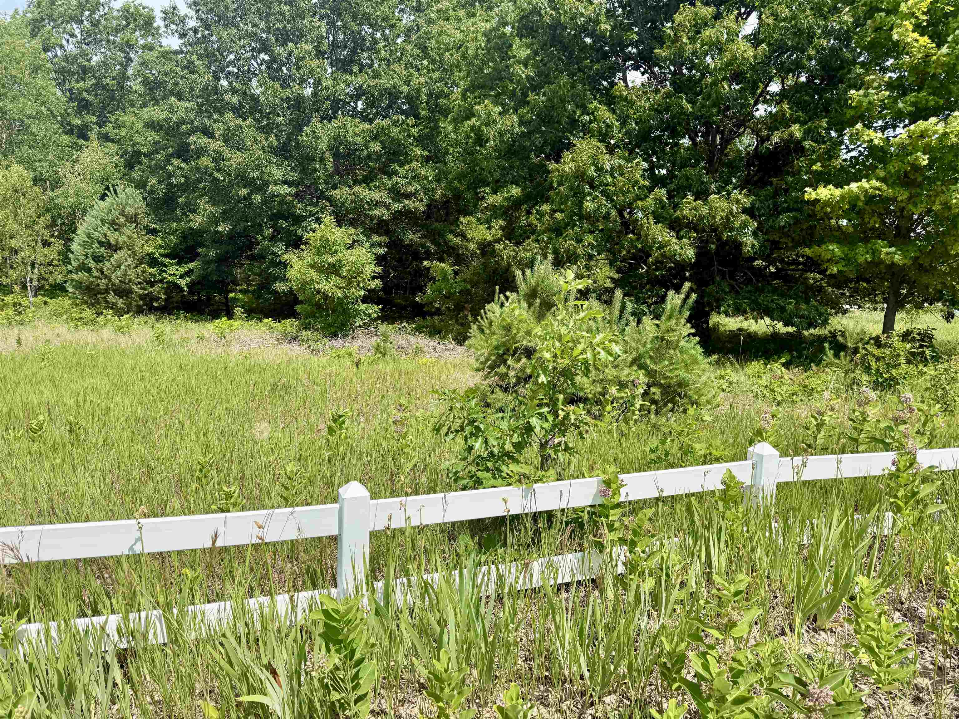 0 E Sandy Lane Property Photo 2