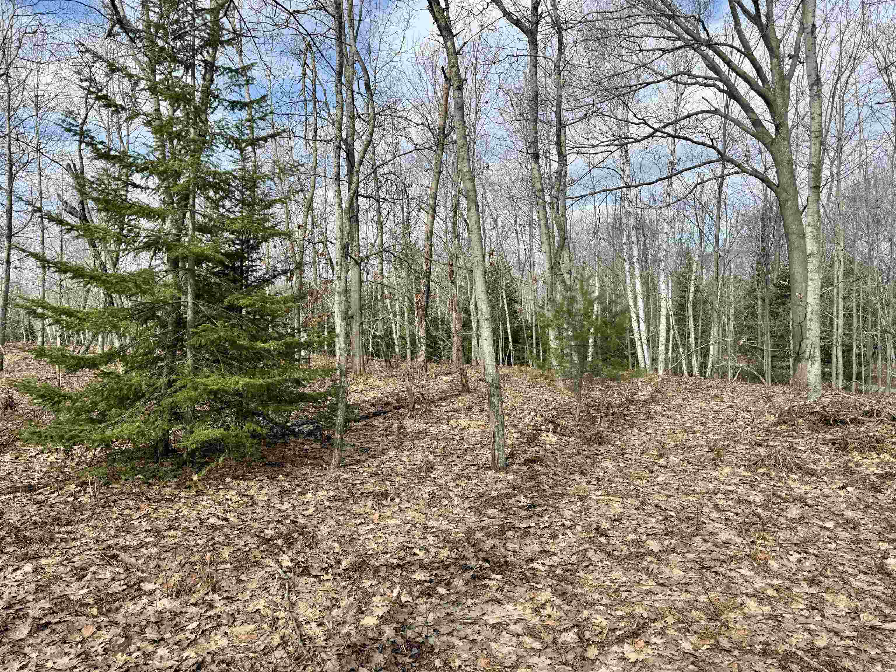 0 E Sandy Lane Property Photo 11