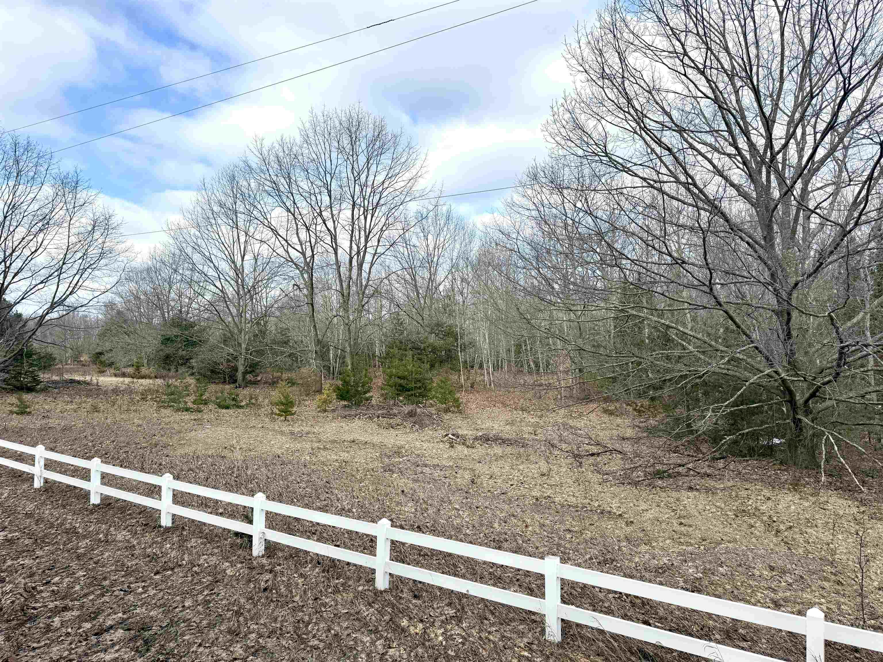 0 E Sandy Lane Property Photo 12
