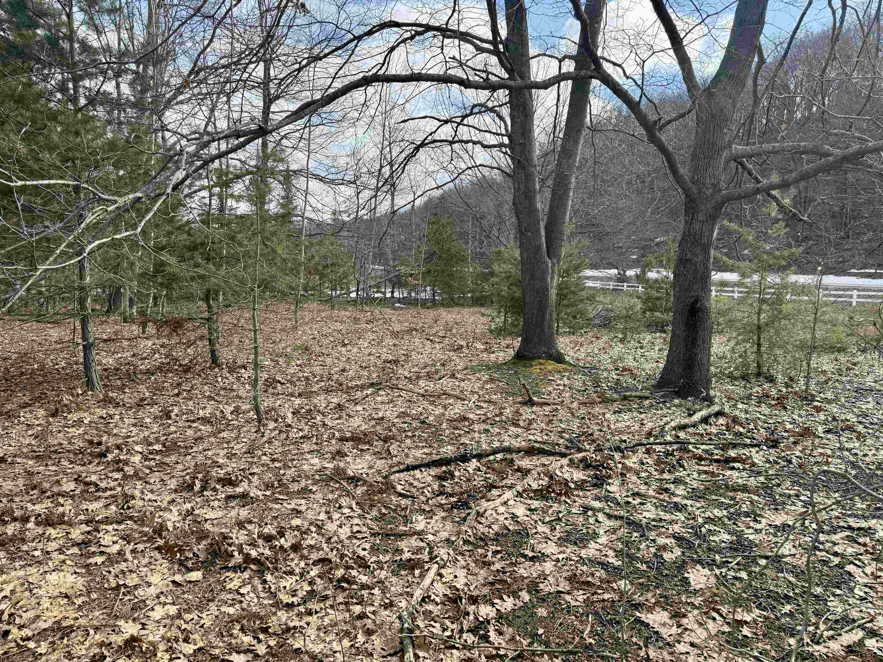 0 E Sandy Lane Property Photo 14