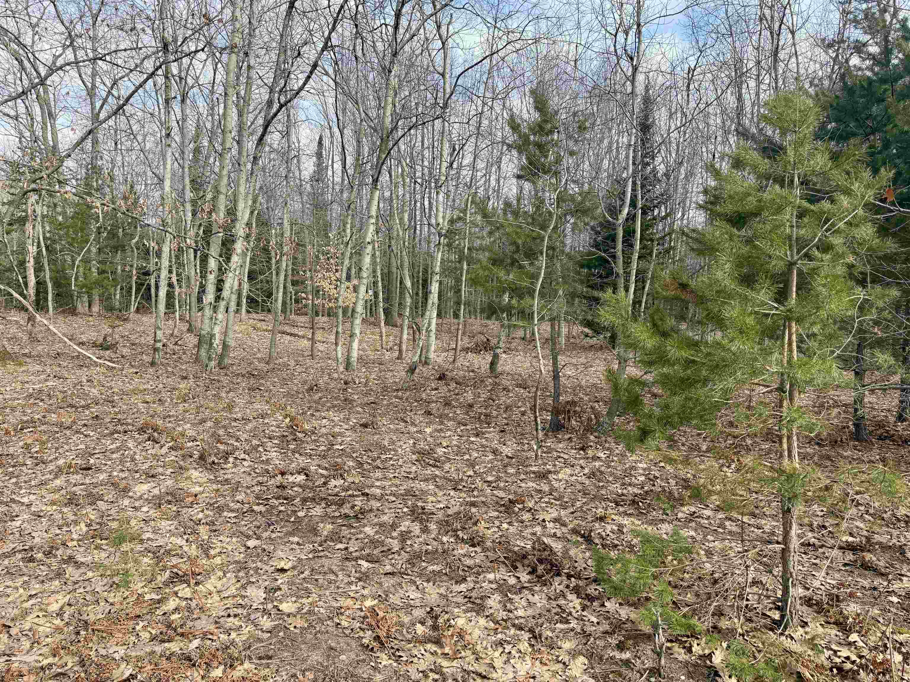 0 E Sandy Lane Property Photo 15