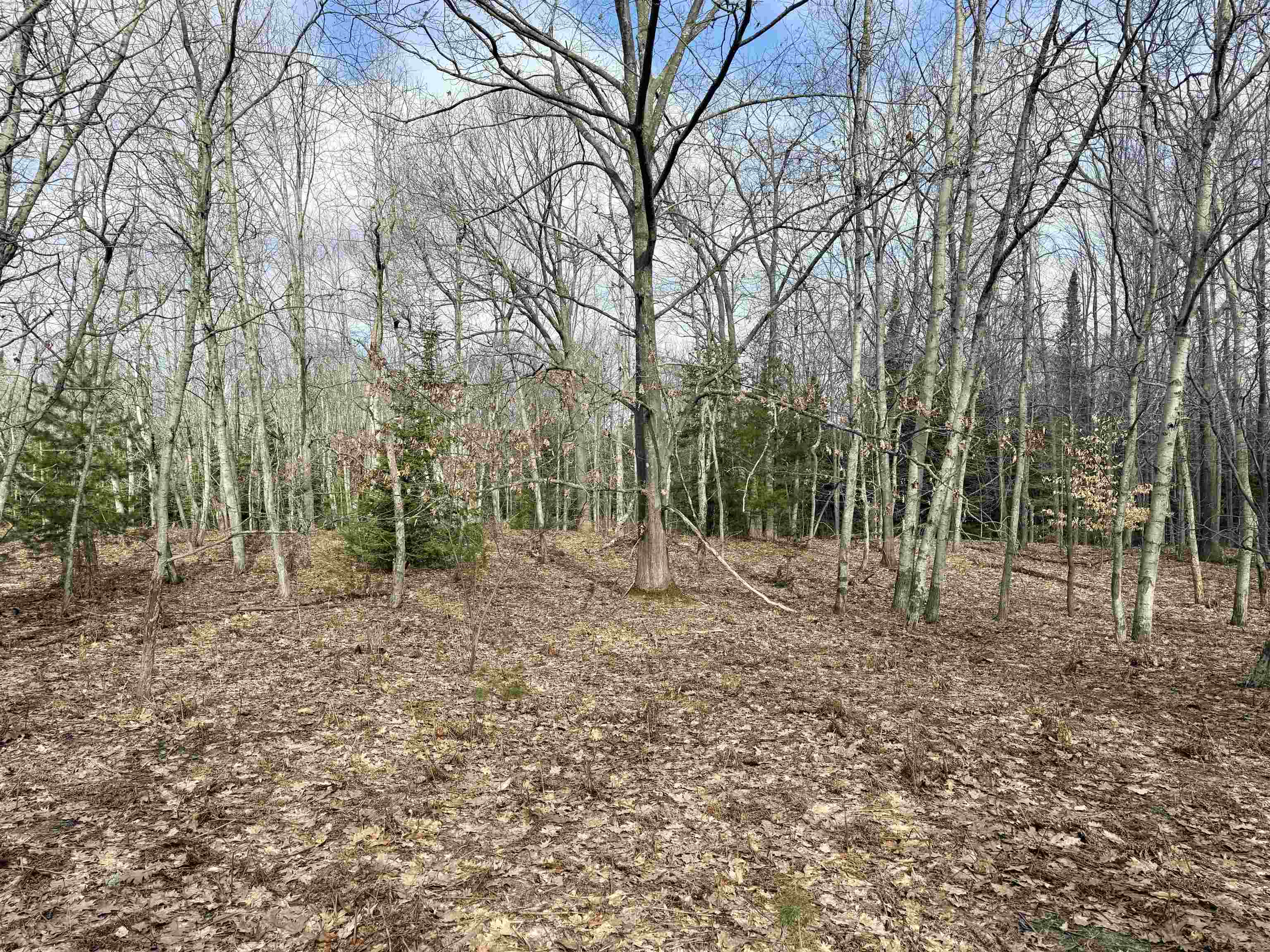 0 E Sandy Lane Property Photo 16