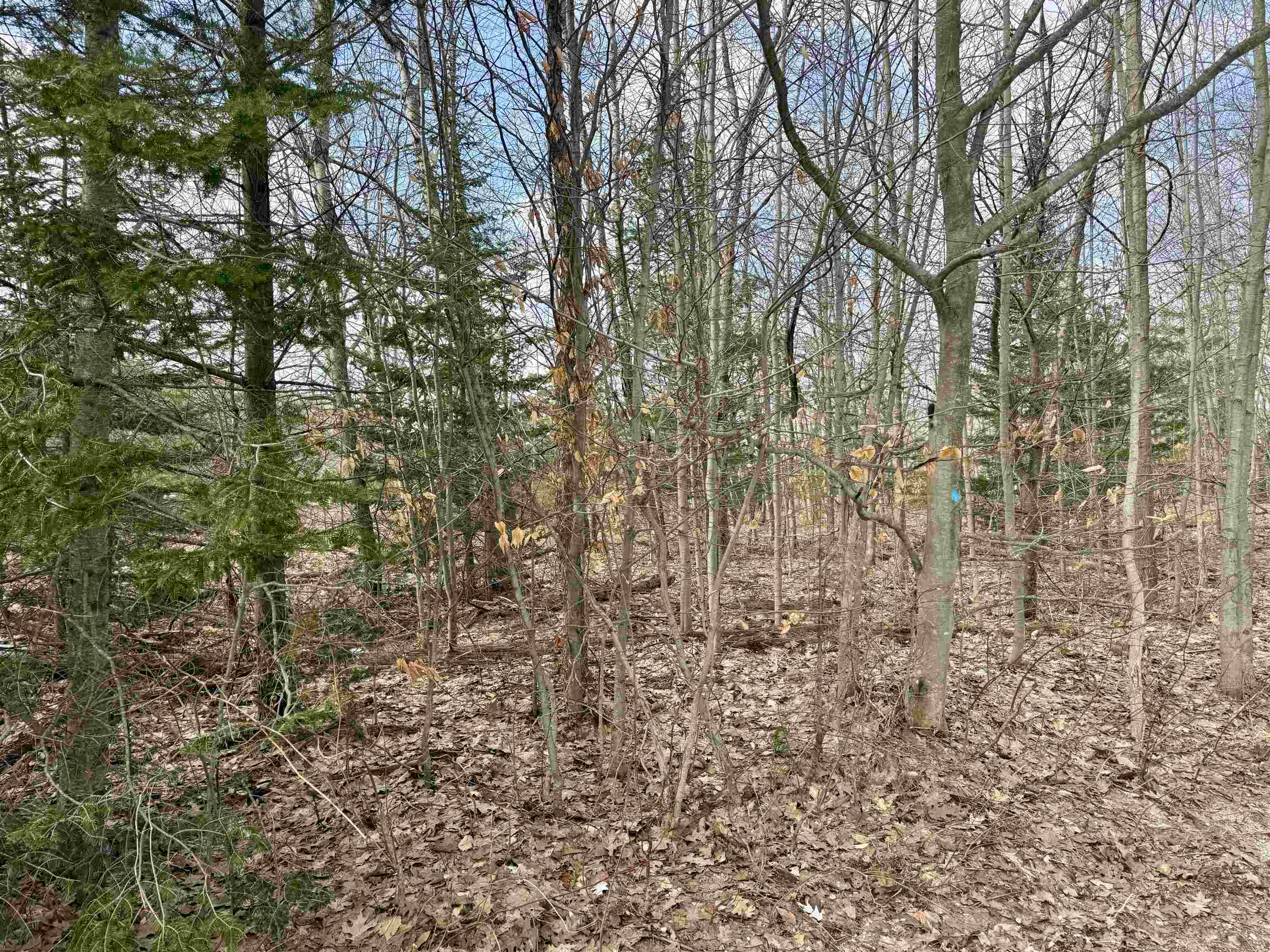 0 E Sandy Lane Property Photo 17