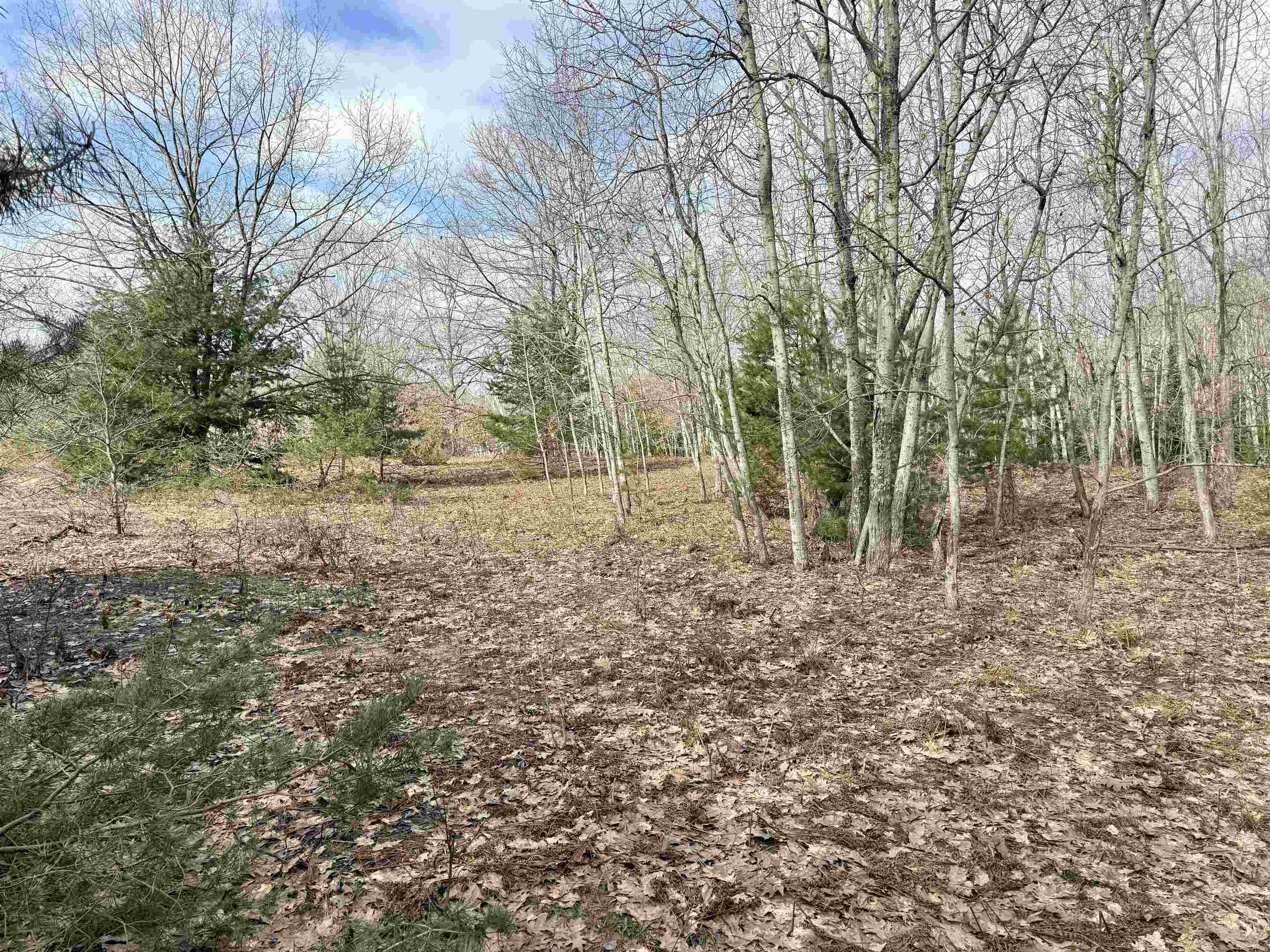 0 E Sandy Lane Property Photo 18