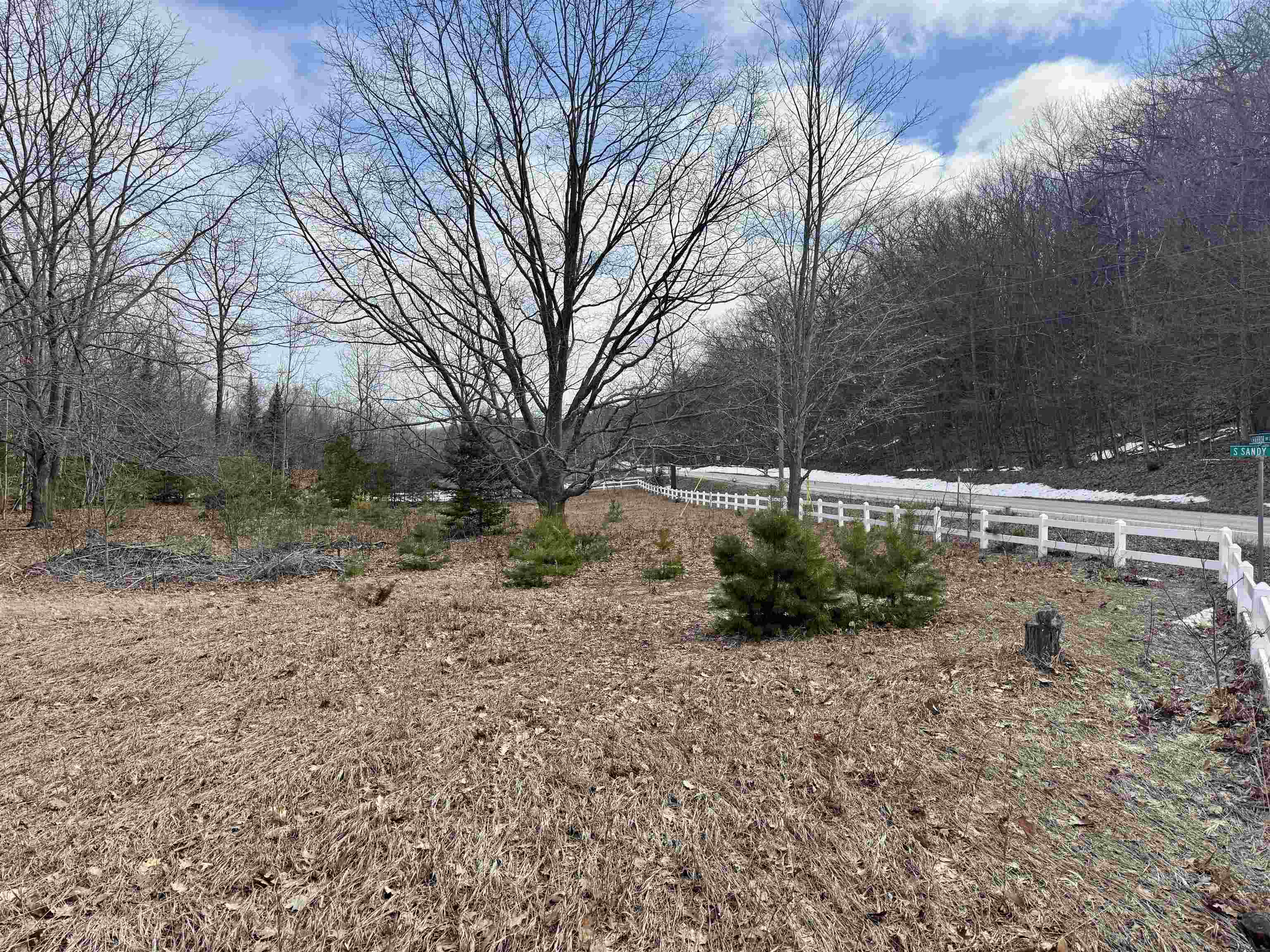 0 E Sandy Lane Property Photo 19