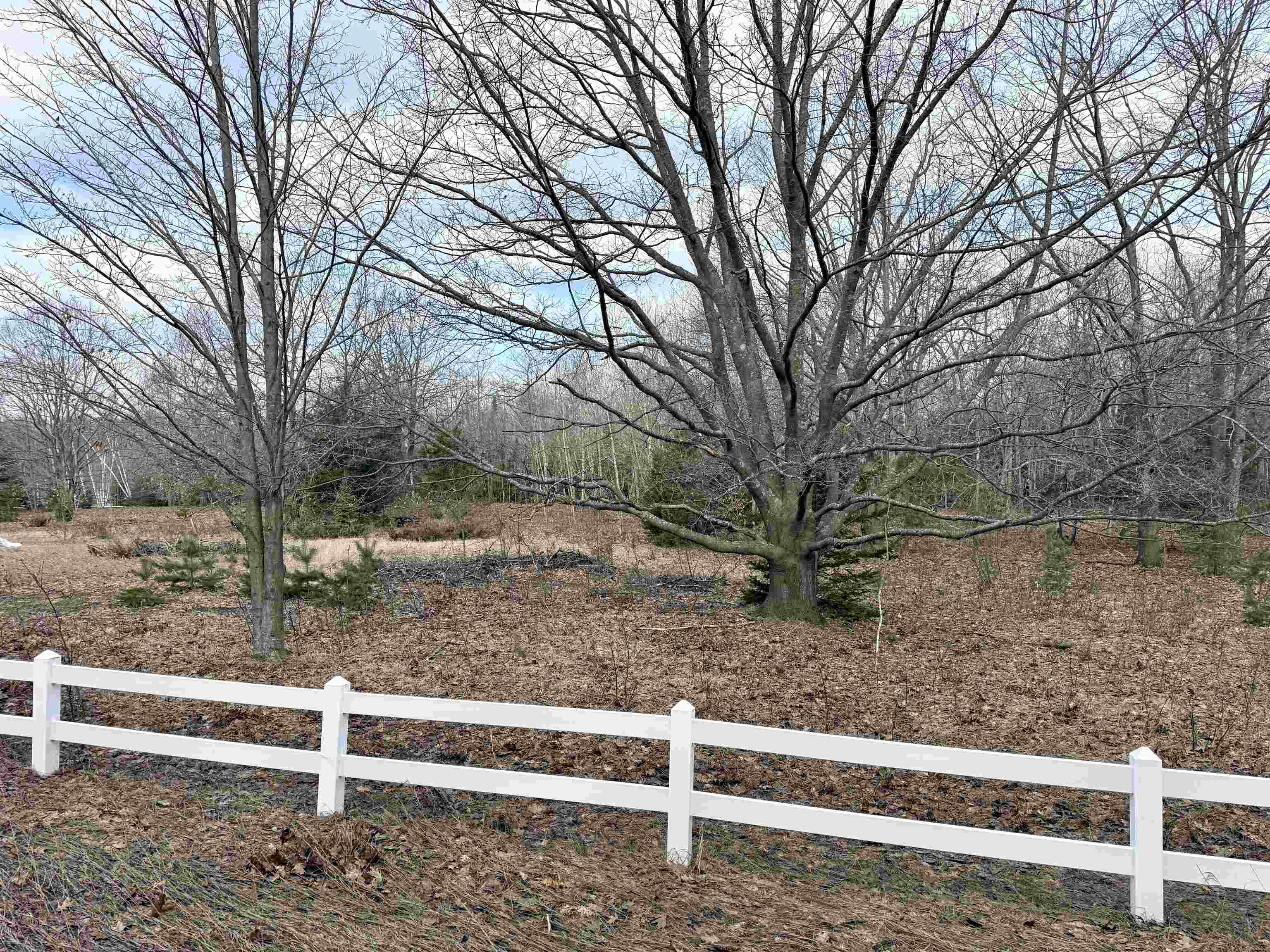 0 E Sandy Lane Property Photo 20