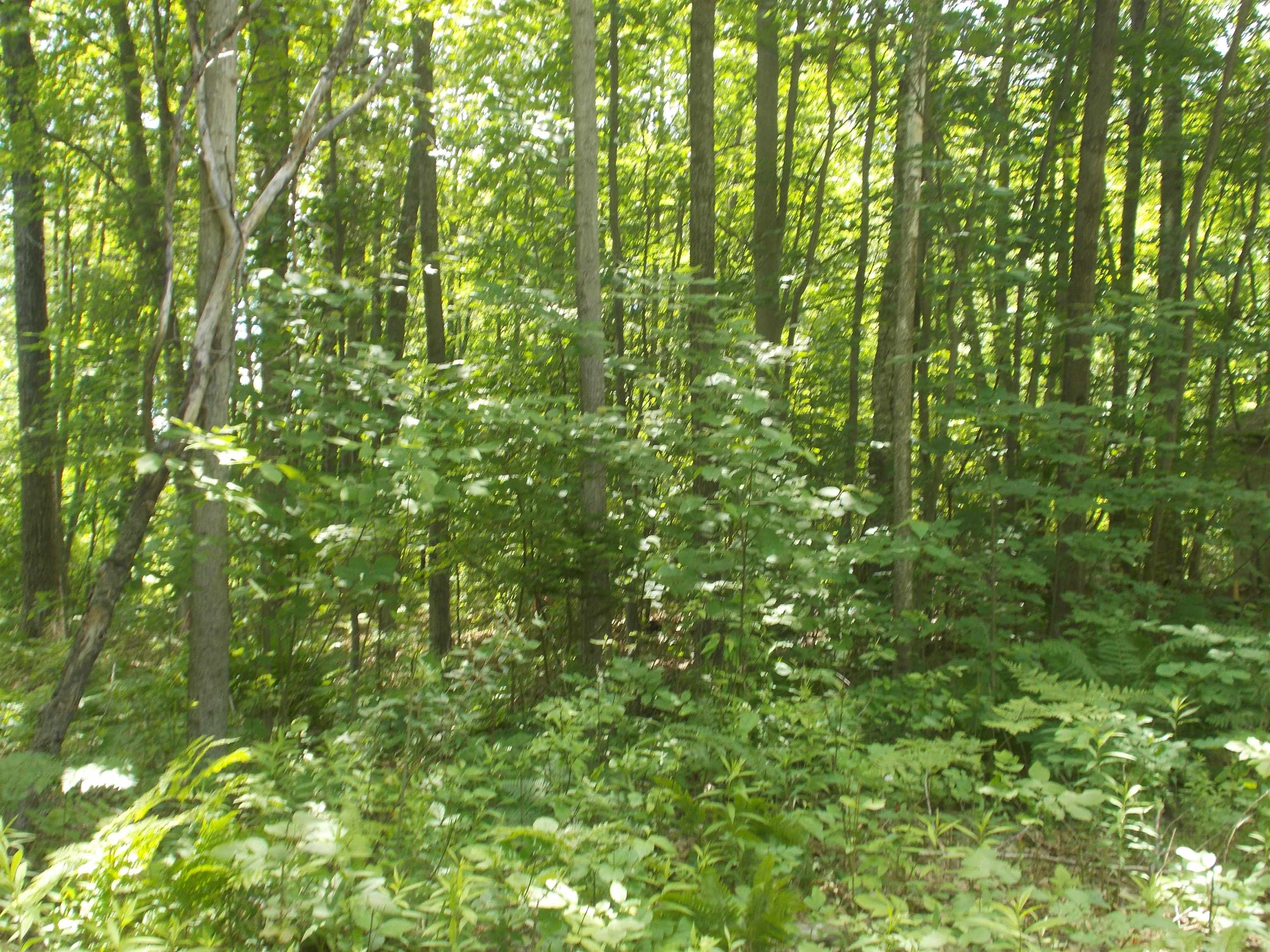 Fern Street Property Photo 5