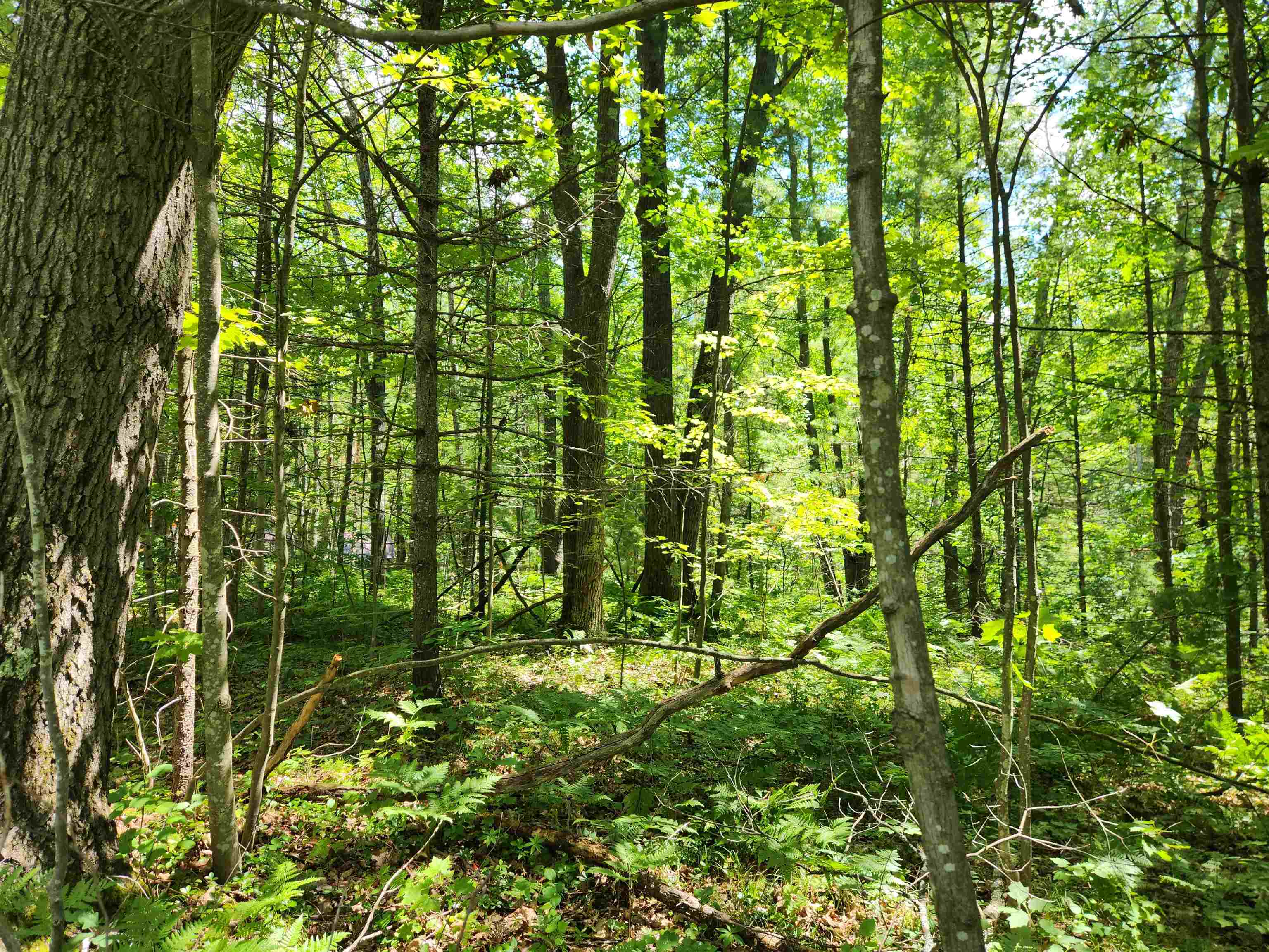 000 Bradley Property Photo 1