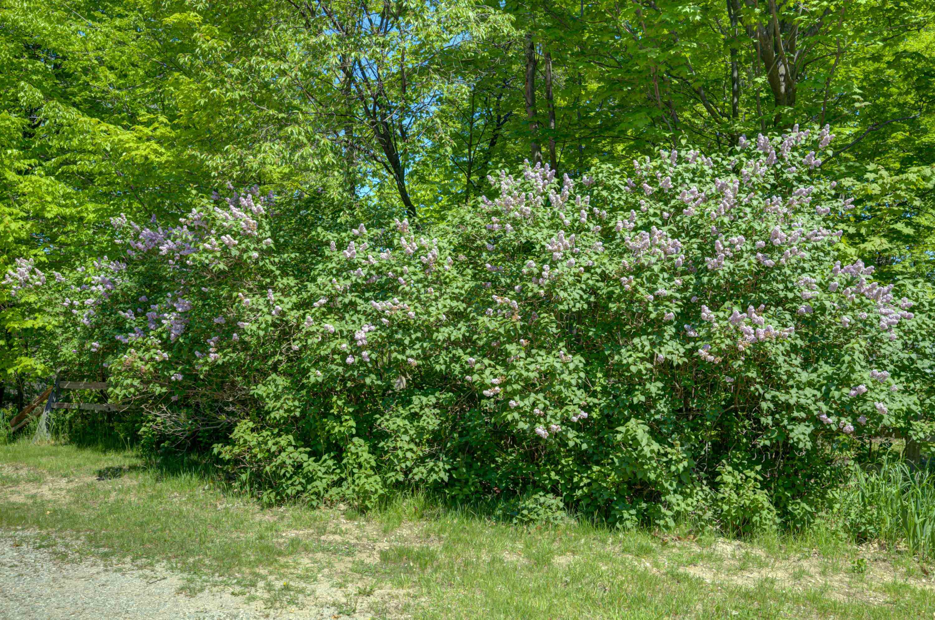 8134 Nw Ruttan Road Property Photo 4