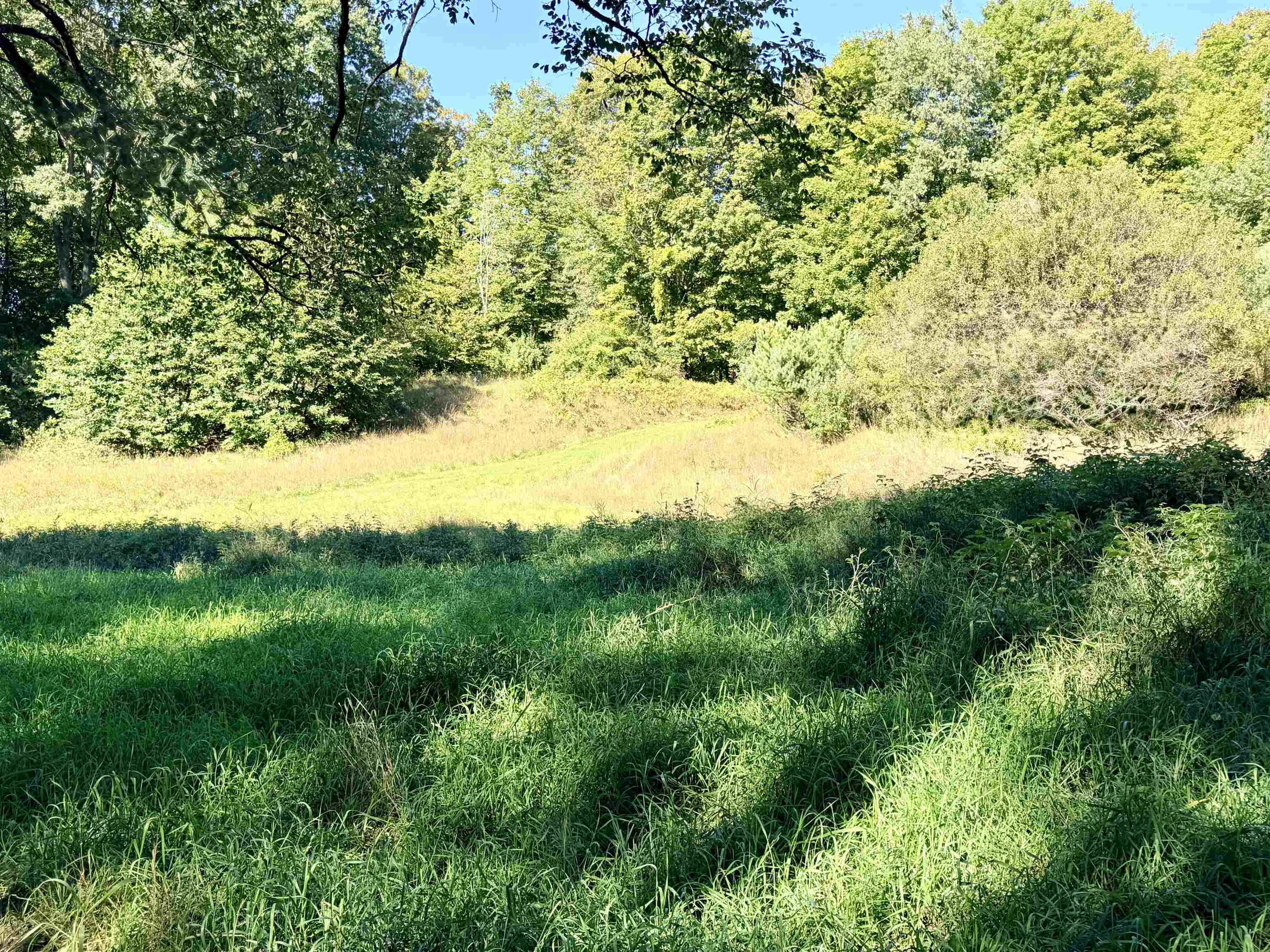 11215 Appleridge Trail Property Photo 62