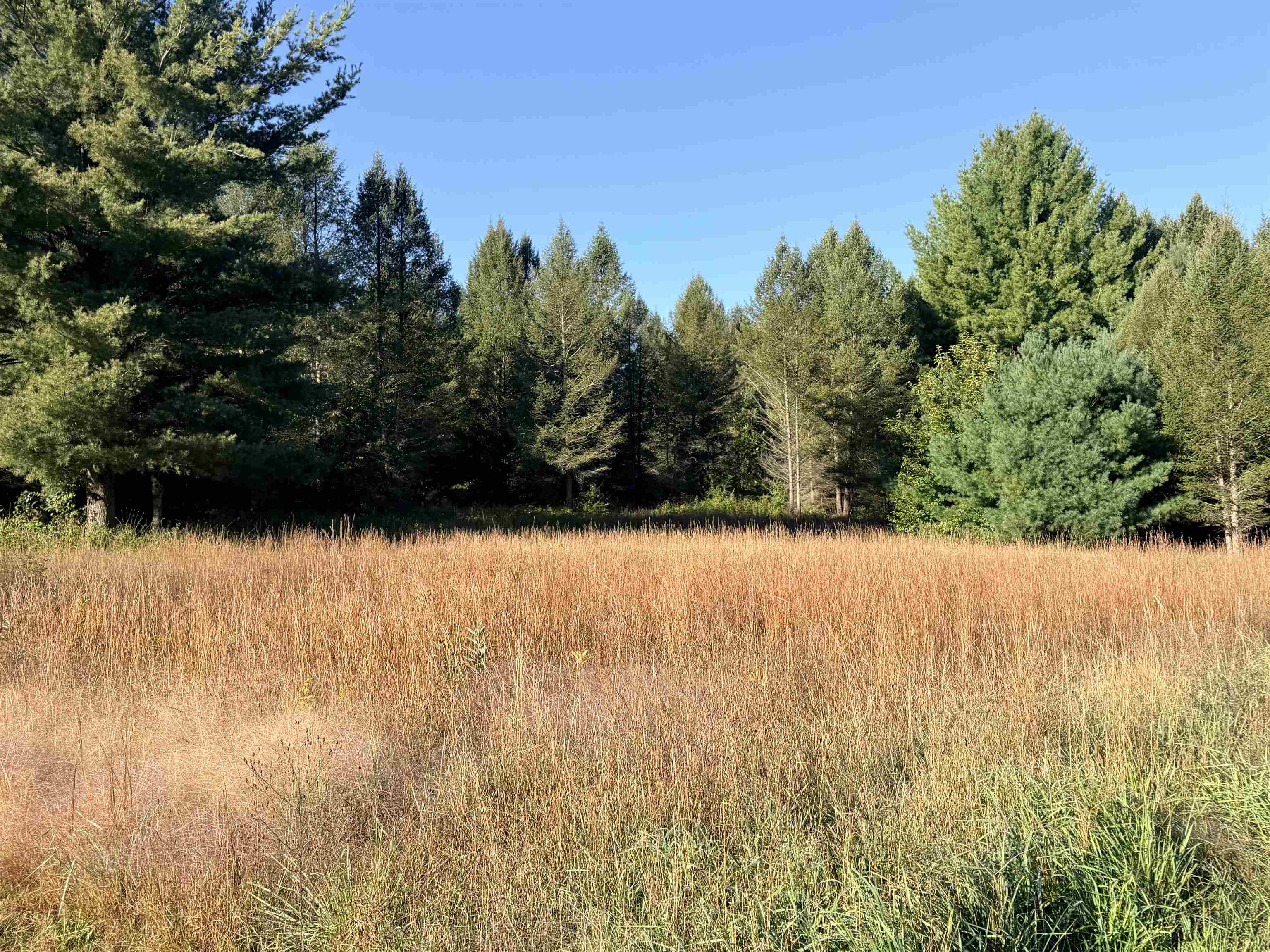 11215 Appleridge Trail Property Photo 63