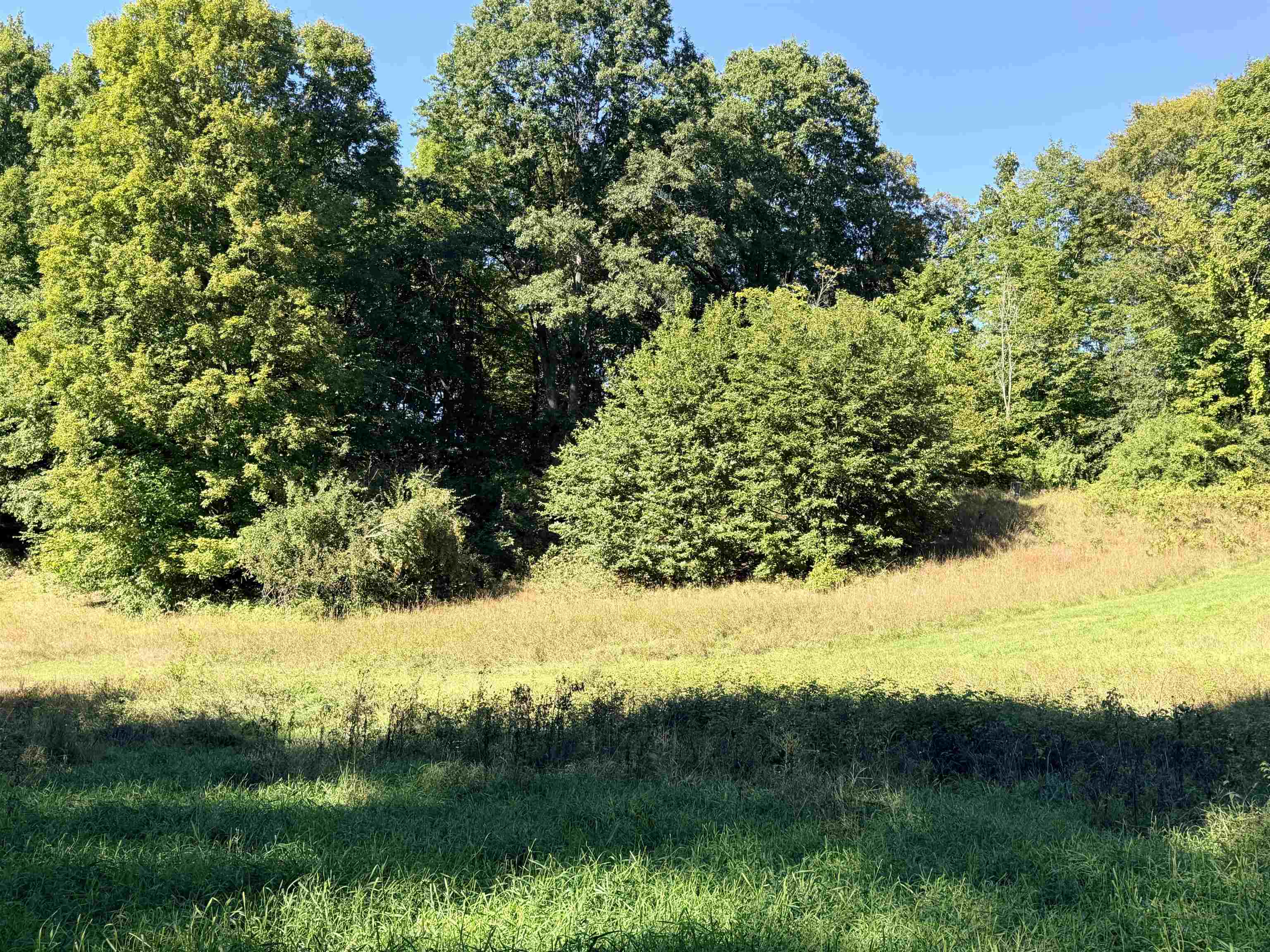 11215 Appleridge Trail Property Photo 71