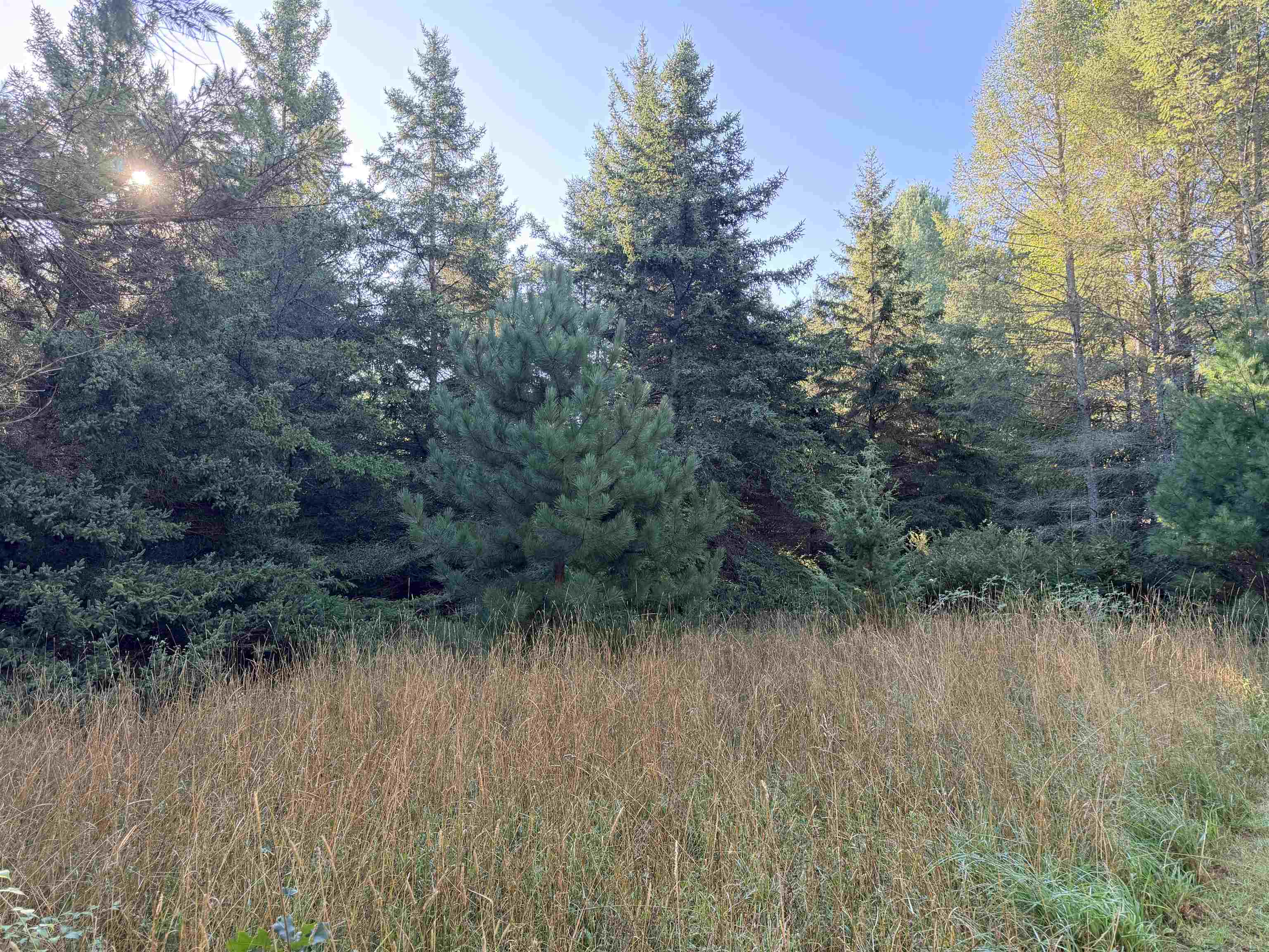 11215 Appleridge Trail Property Photo 72