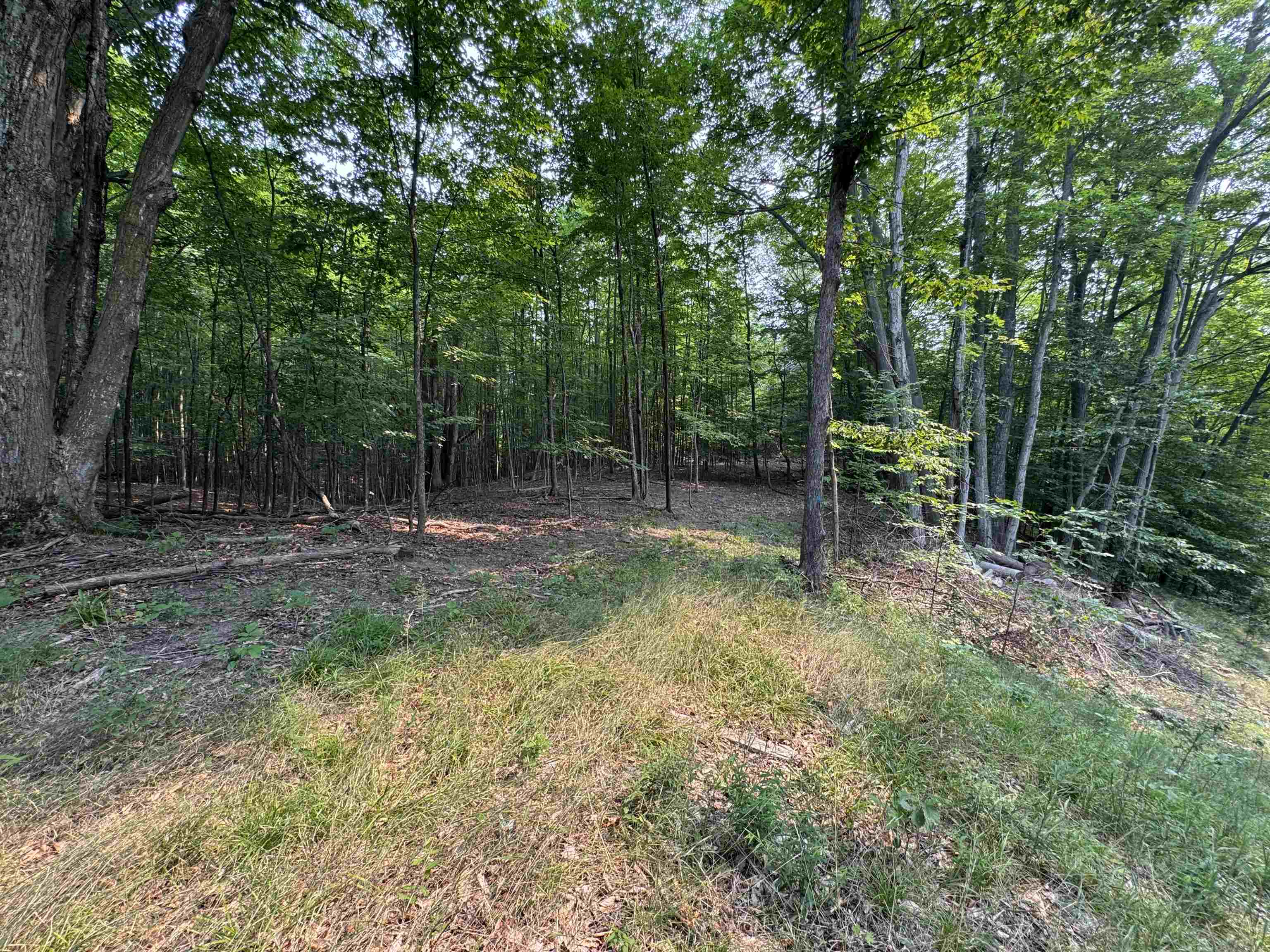 Lot #3 E Bellinger Road Property Photo 7