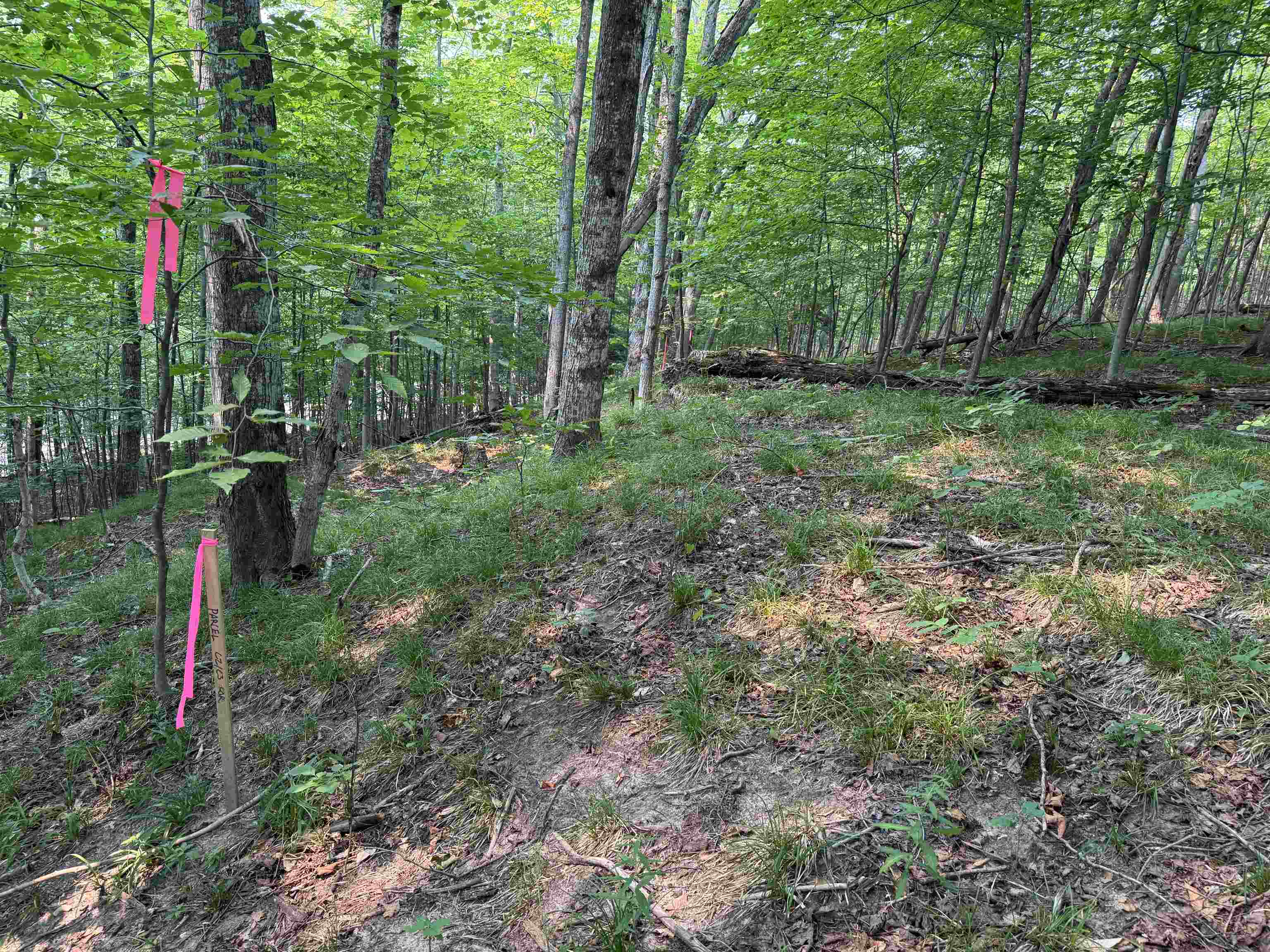 Lot #3 E Bellinger Road Property Photo 8