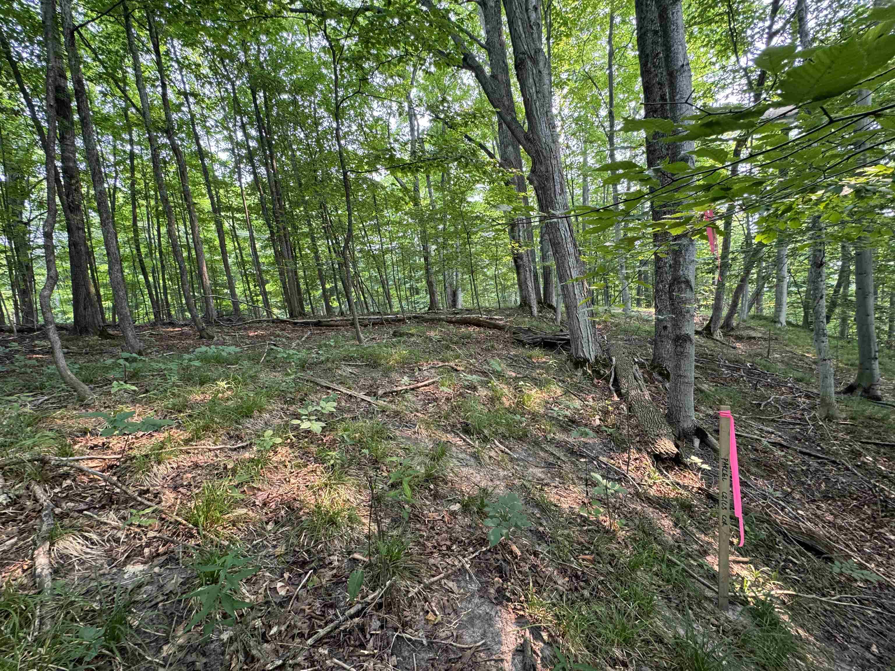 Lot #3 E Bellinger Road Property Photo 9