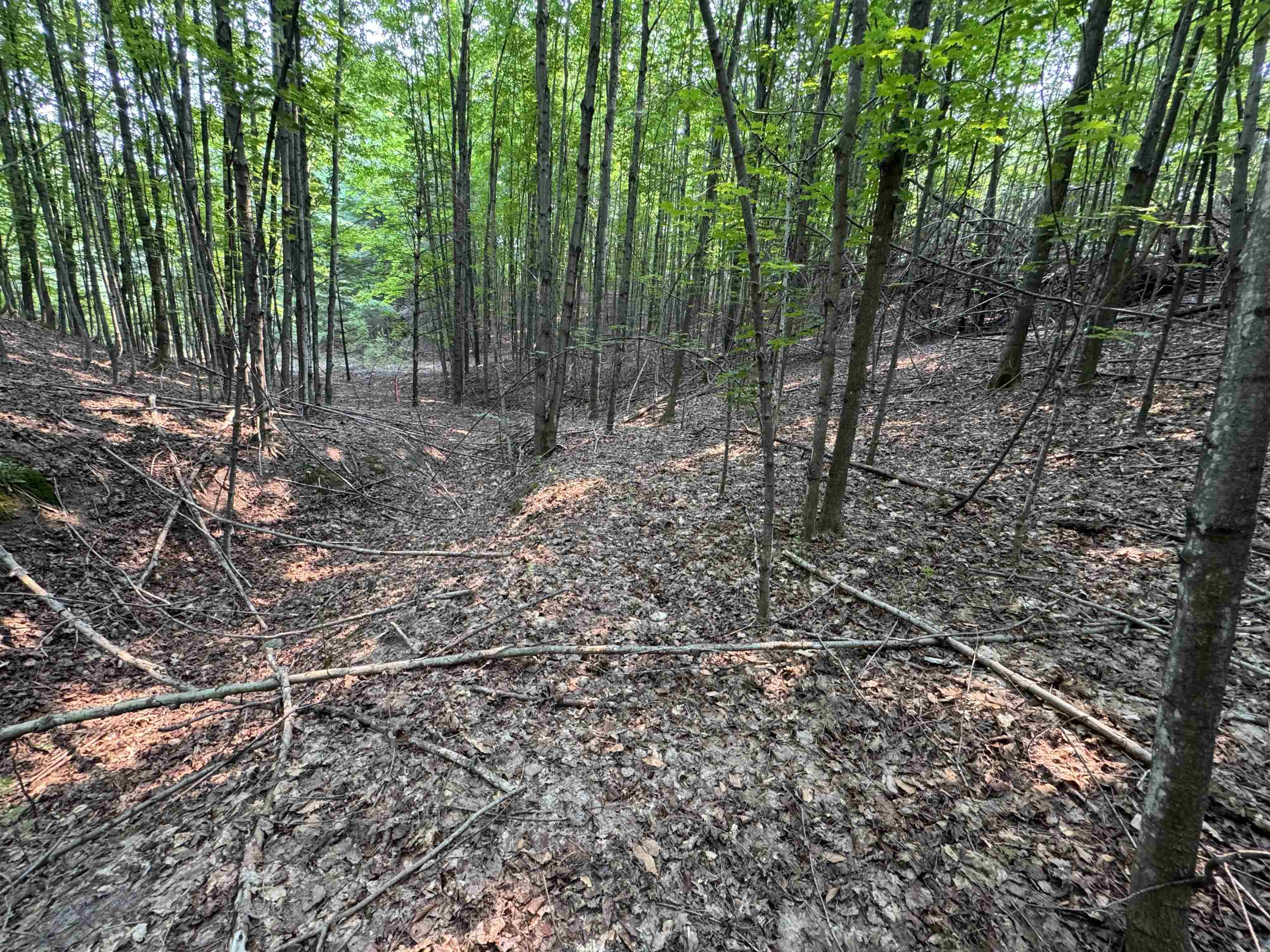 Lot #3 E Bellinger Road Property Photo 10
