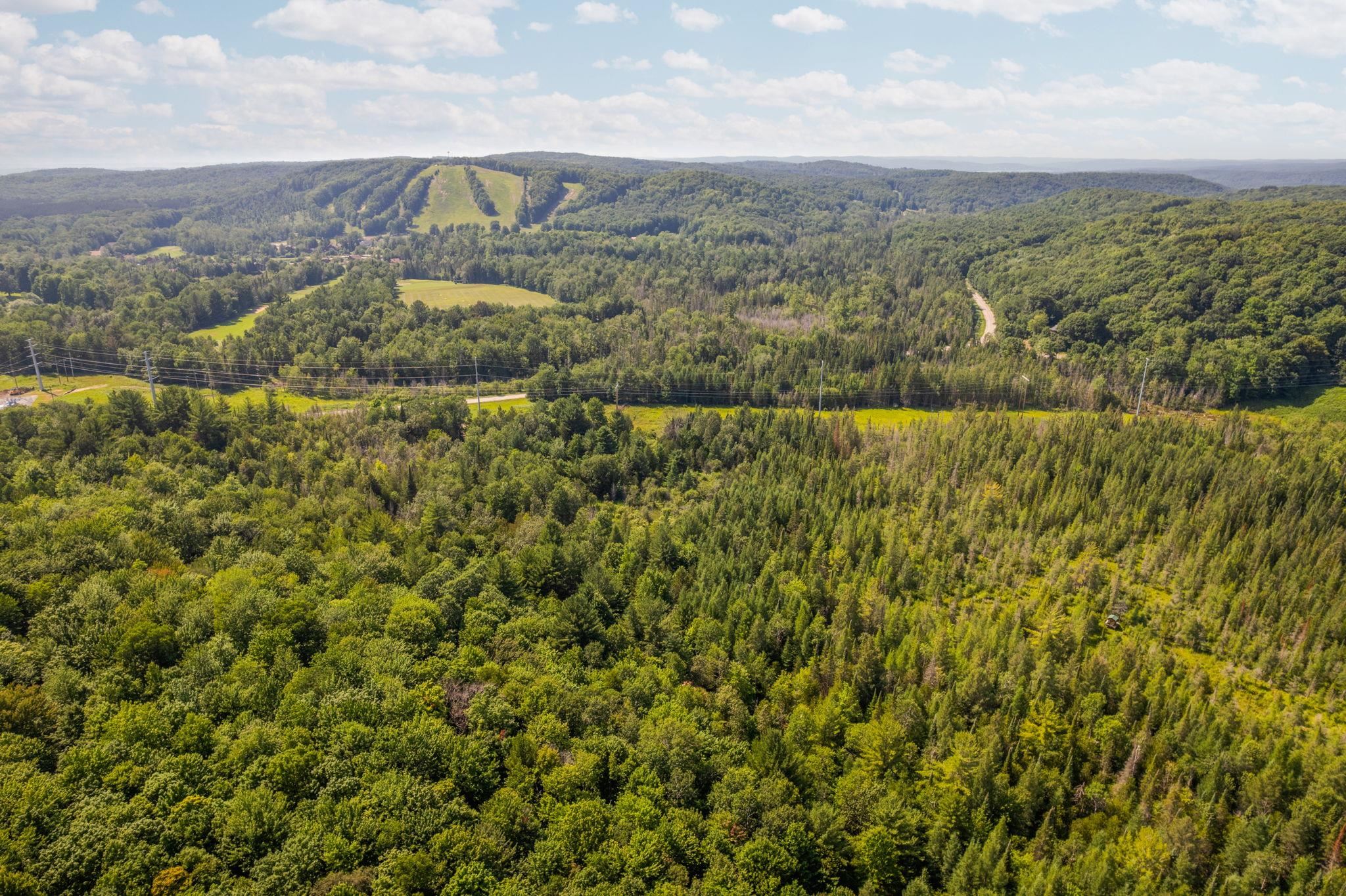 Parcels A & B Schuss Mountain Road Property Photo 1