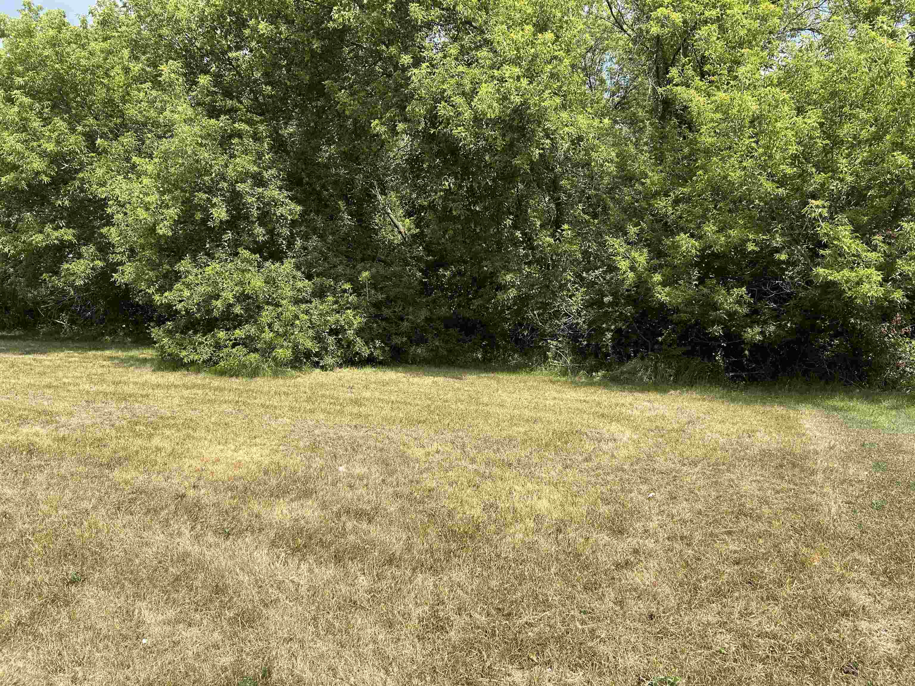 307 Red Maple Lane Property Photo 2