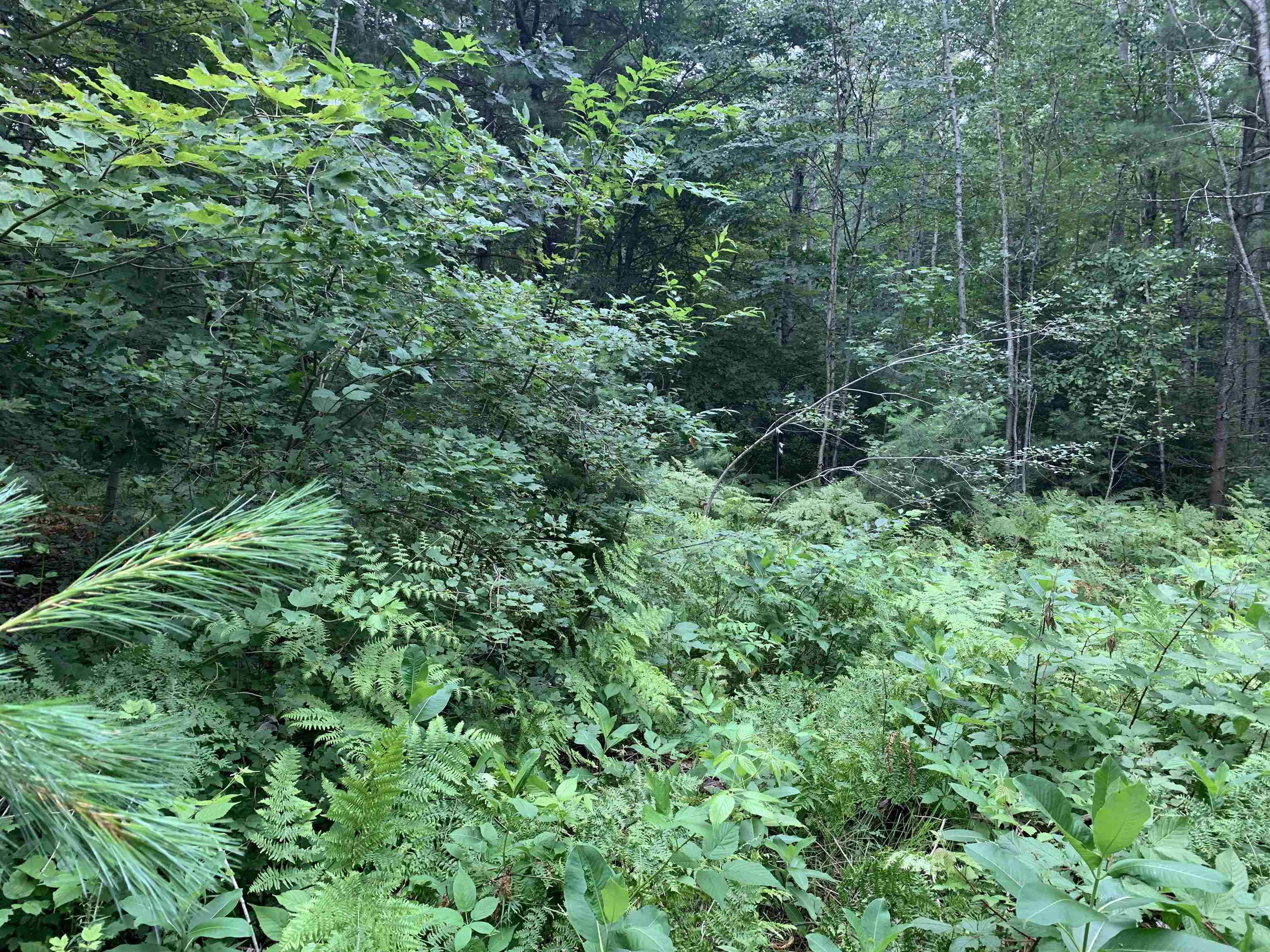 00 Bass Avenue Property Photo 3
