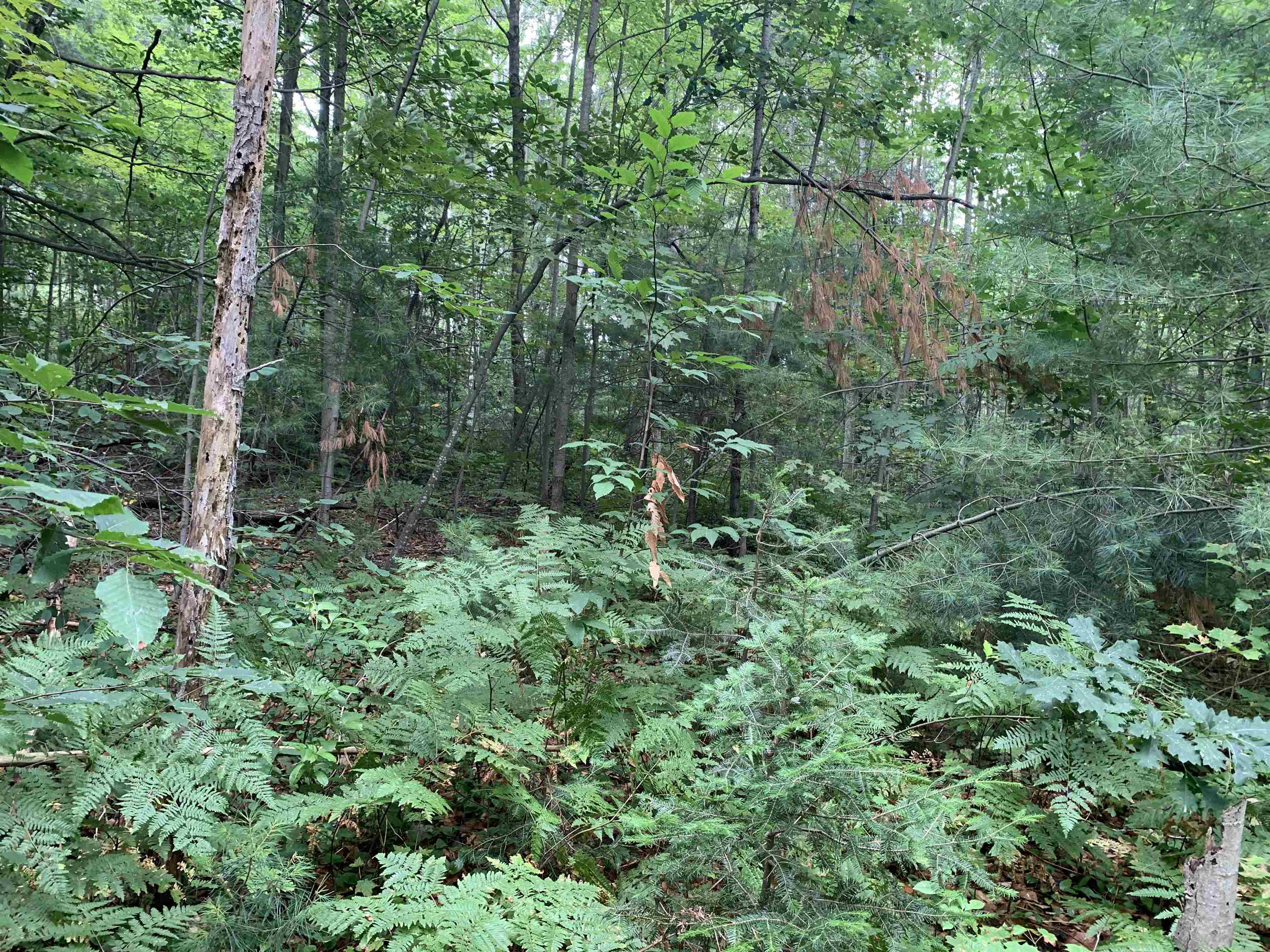 00 Bass Avenue Property Photo 7