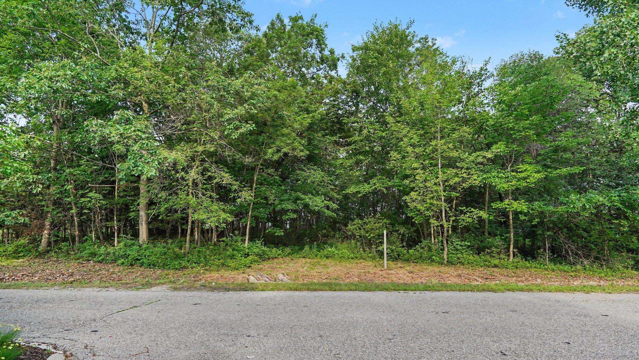 Tbd Buckthorn Street Property Photo 5