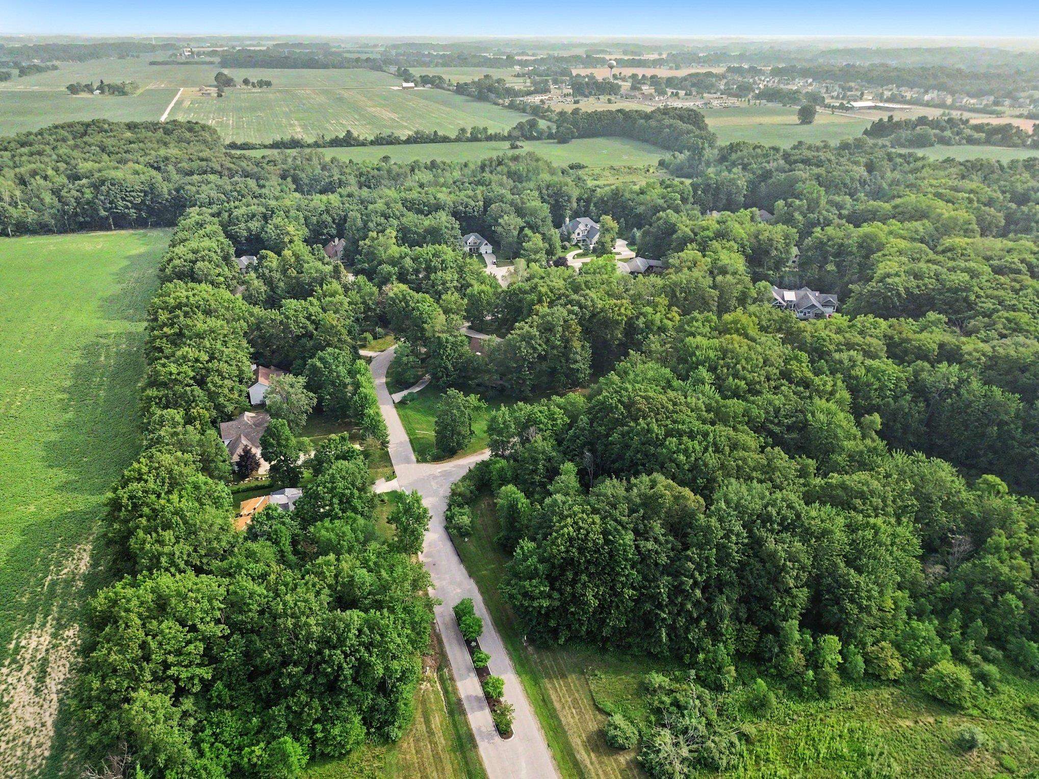 Tbd Buckthorn Street Property Photo 16