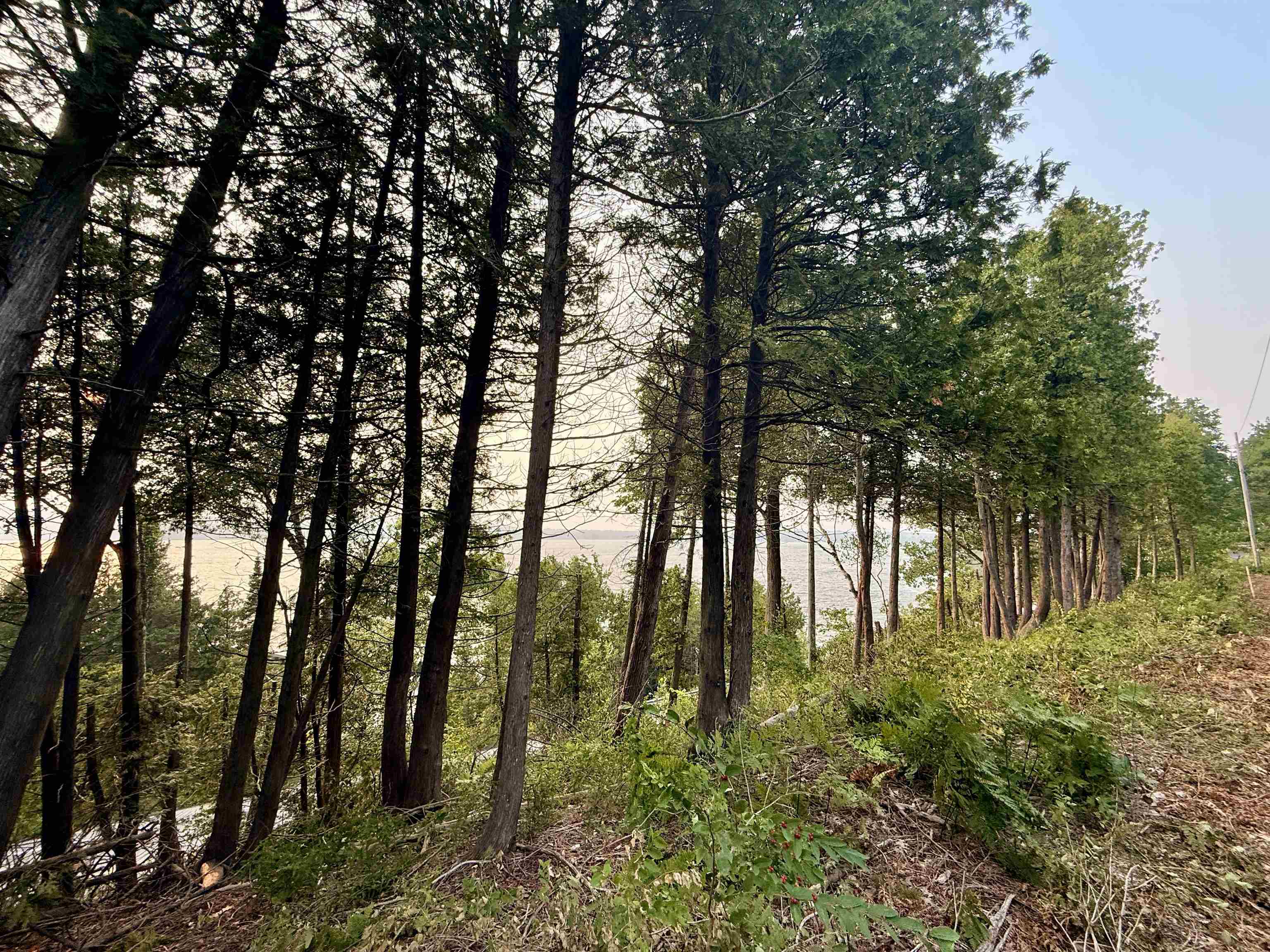 Lot 28 & 29 N Lake Leelanau Drive Property Photo 5