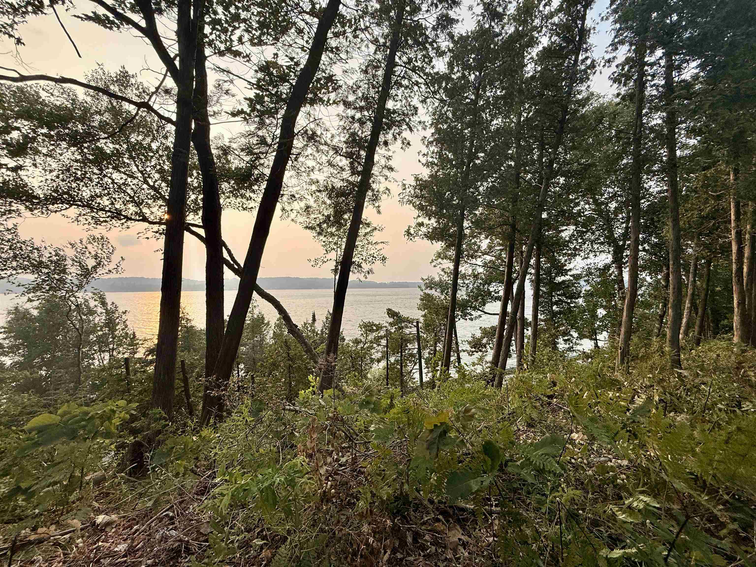 Lot 28 & 29 N Lake Leelanau Drive Property Photo 12
