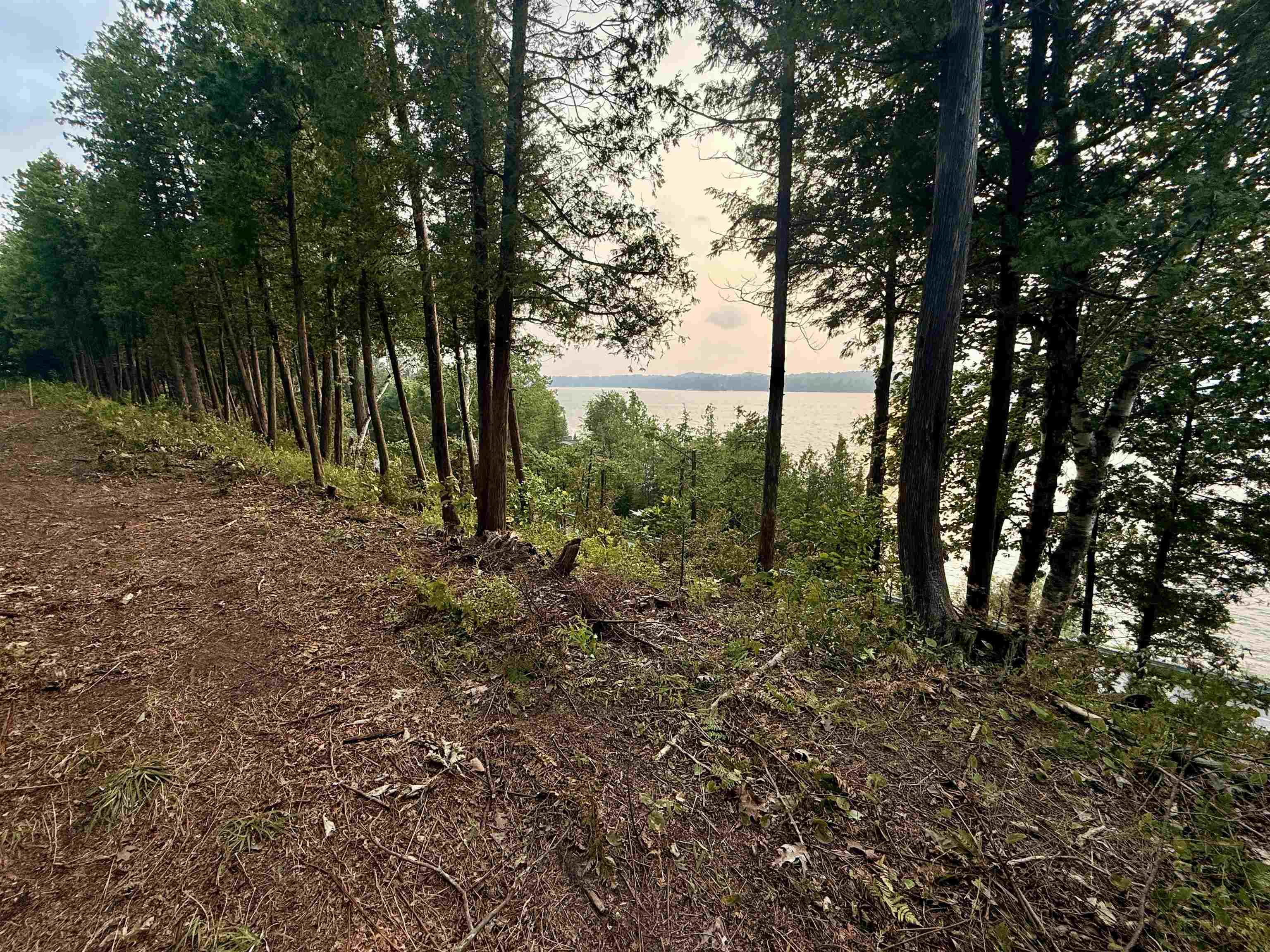 Lot 28 & 29 N Lake Leelanau Drive Property Photo 14