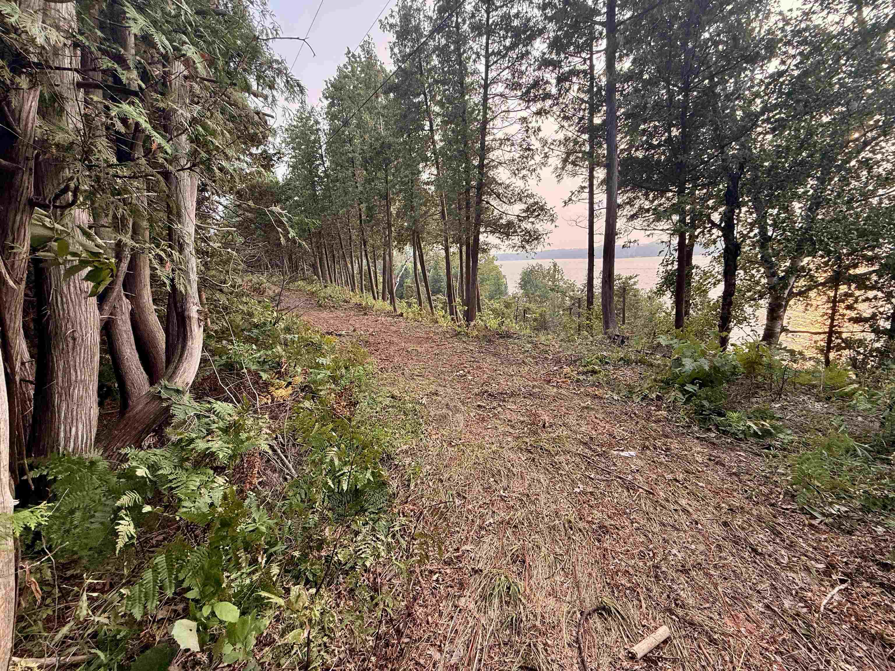 Lot 28 & 29 N Lake Leelanau Drive Property Photo 16