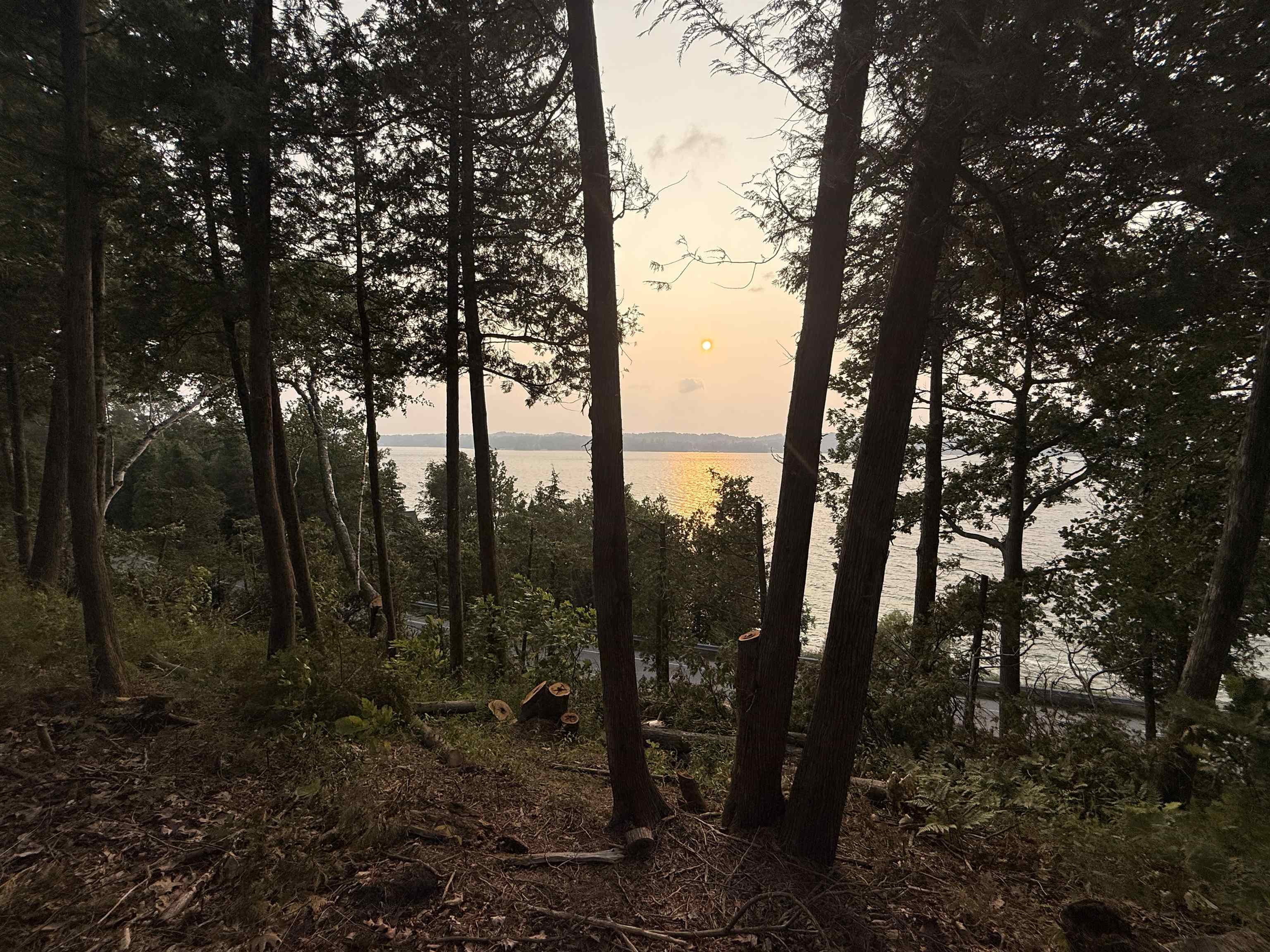 Lot 30 & 31 N Lake Leelanau Drive Property Photo 5
