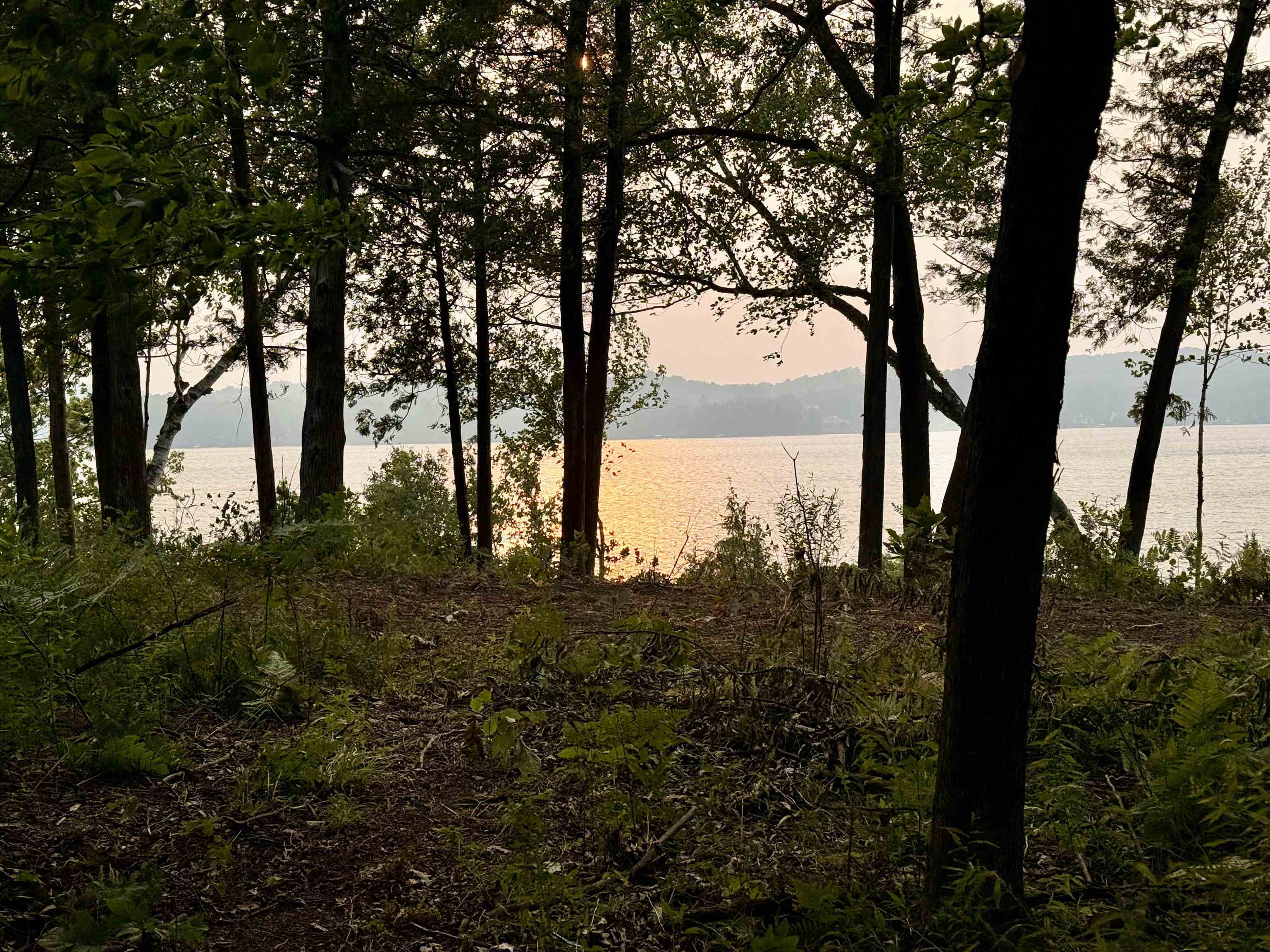 Lot 30 & 31 N Lake Leelanau Drive Property Photo 9