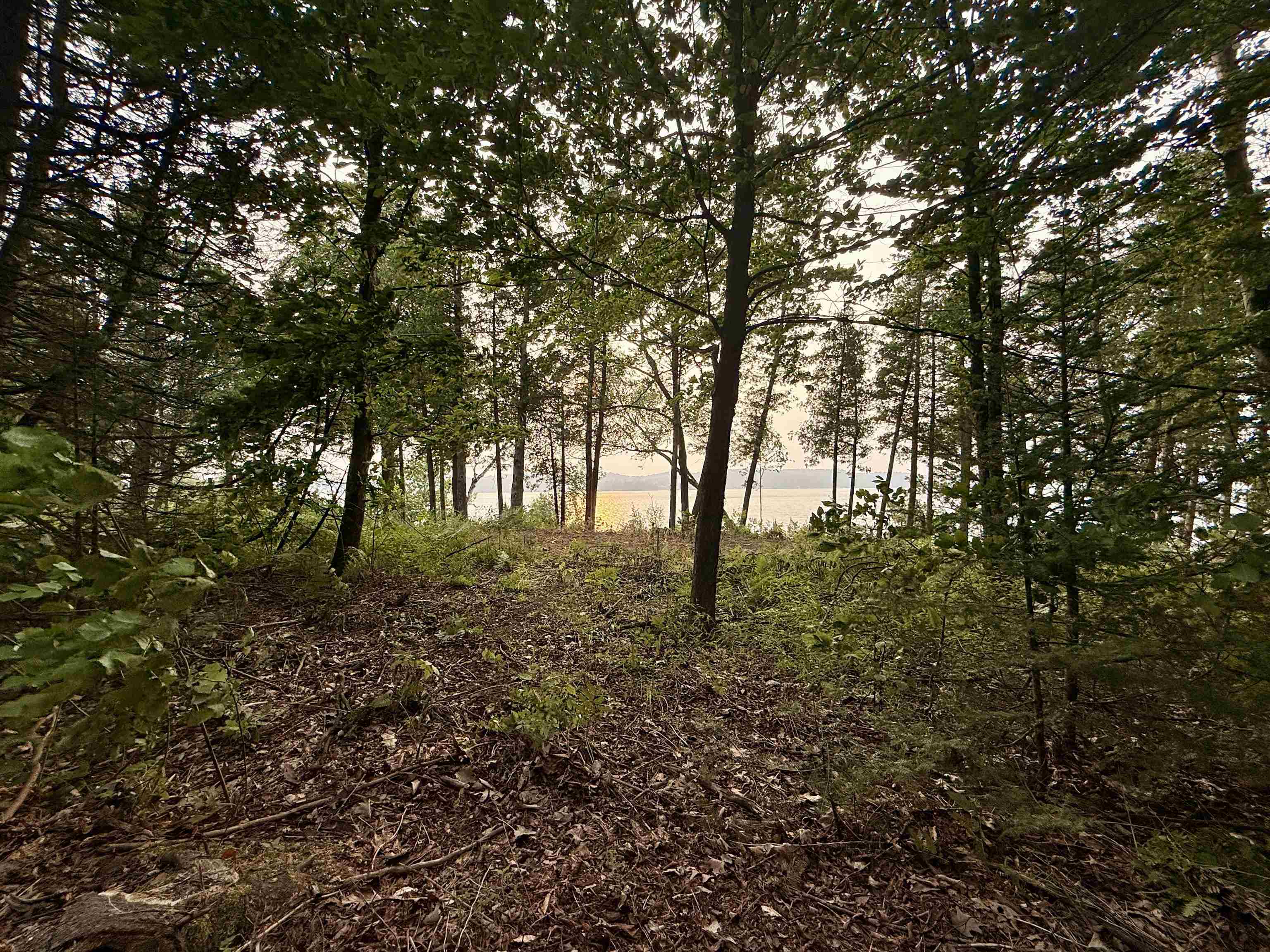 Lot 30 & 31 N Lake Leelanau Drive Property Photo 10