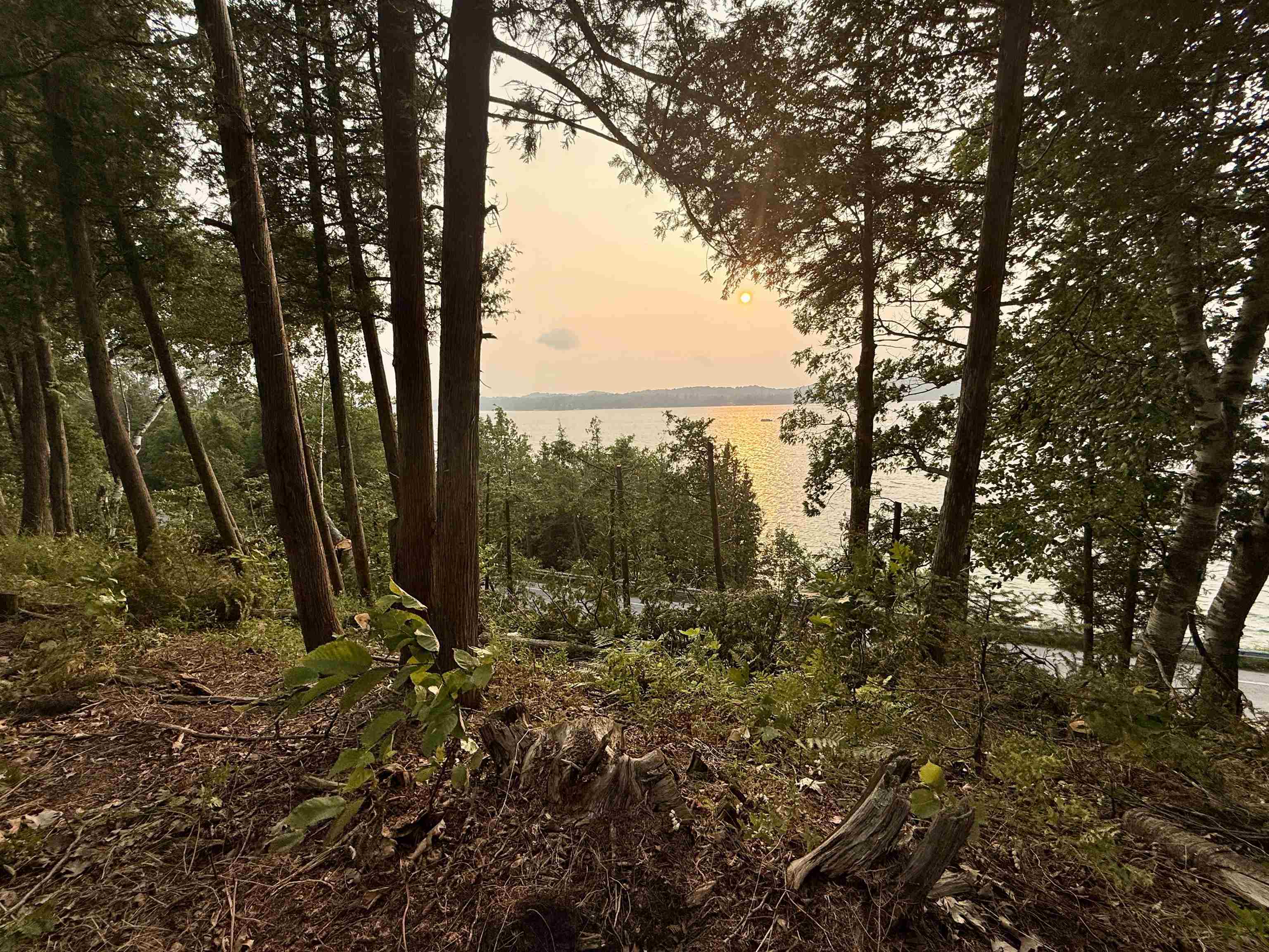 Lot 30 & 31 N Lake Leelanau Drive Property Photo 15